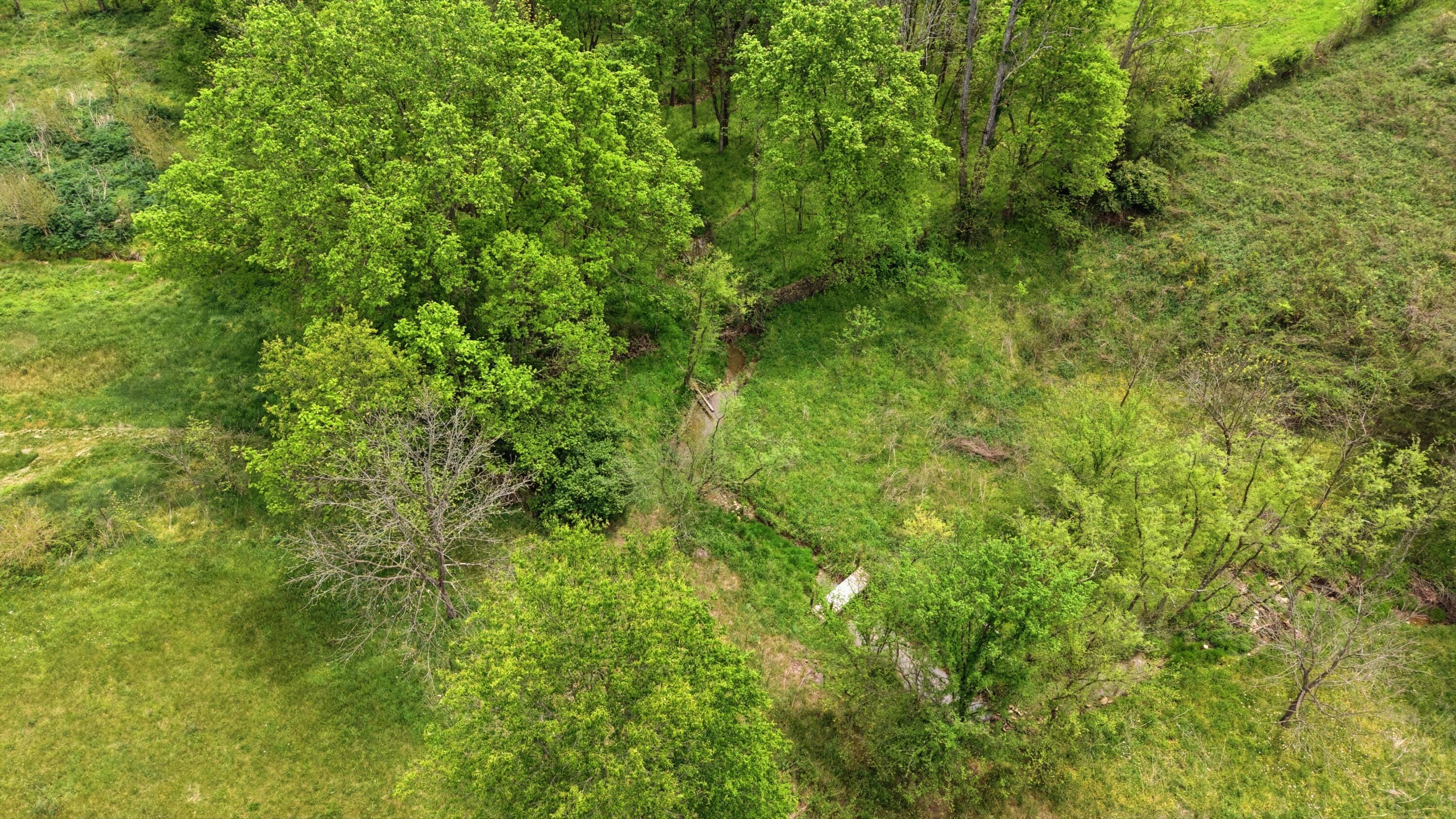 650 Gillispie Road Property Photo 34