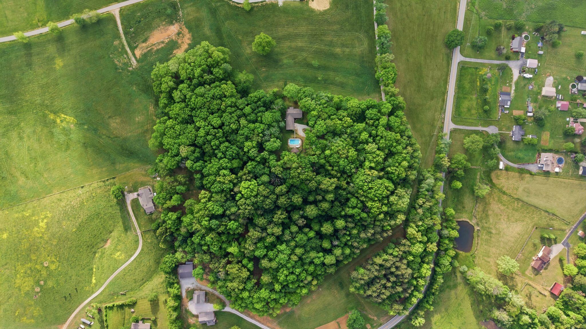 154 Flat Lick Road Property Photo 101