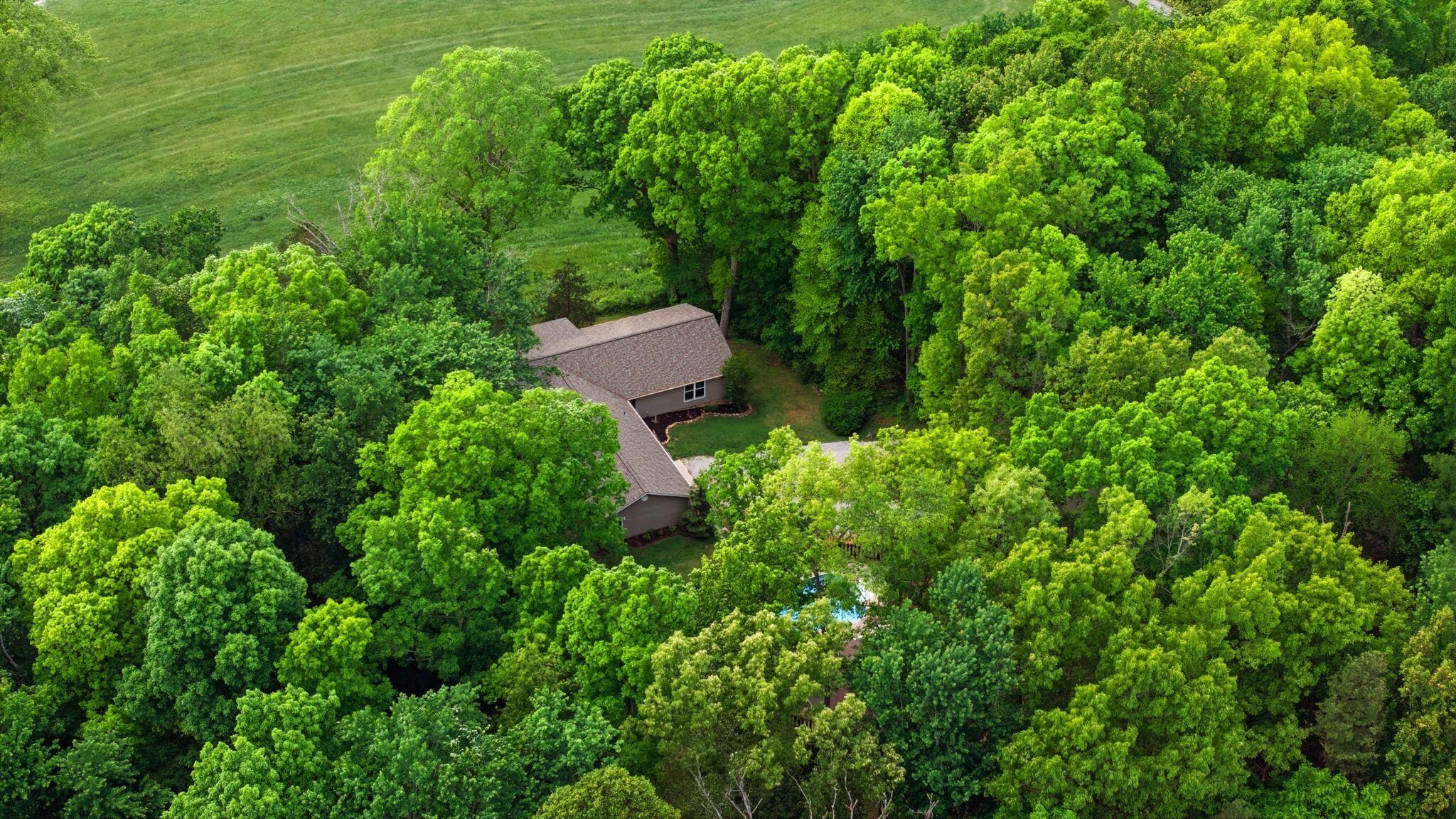 154 Flat Lick Road Property Photo 158