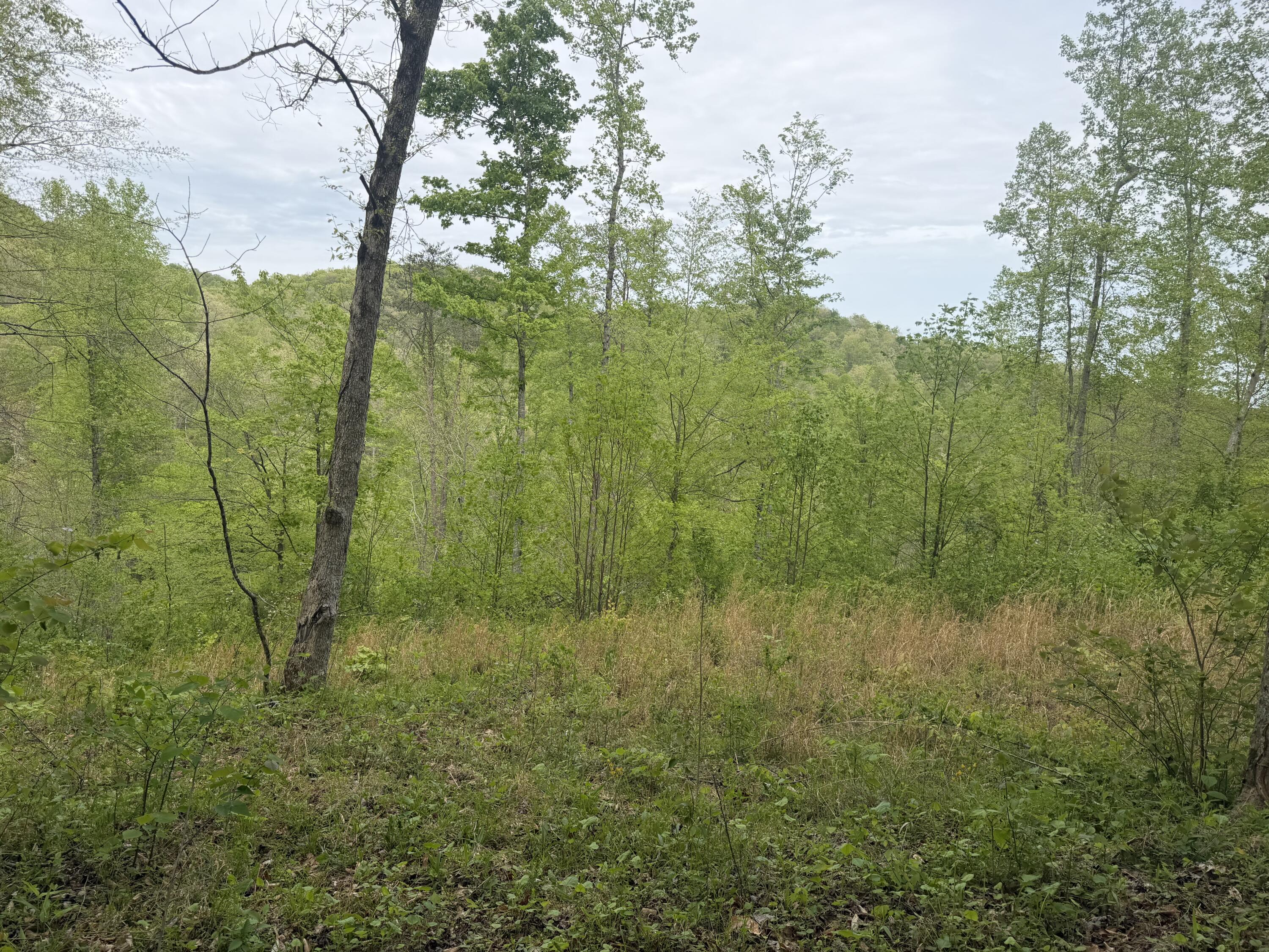 999 Big Cave Road