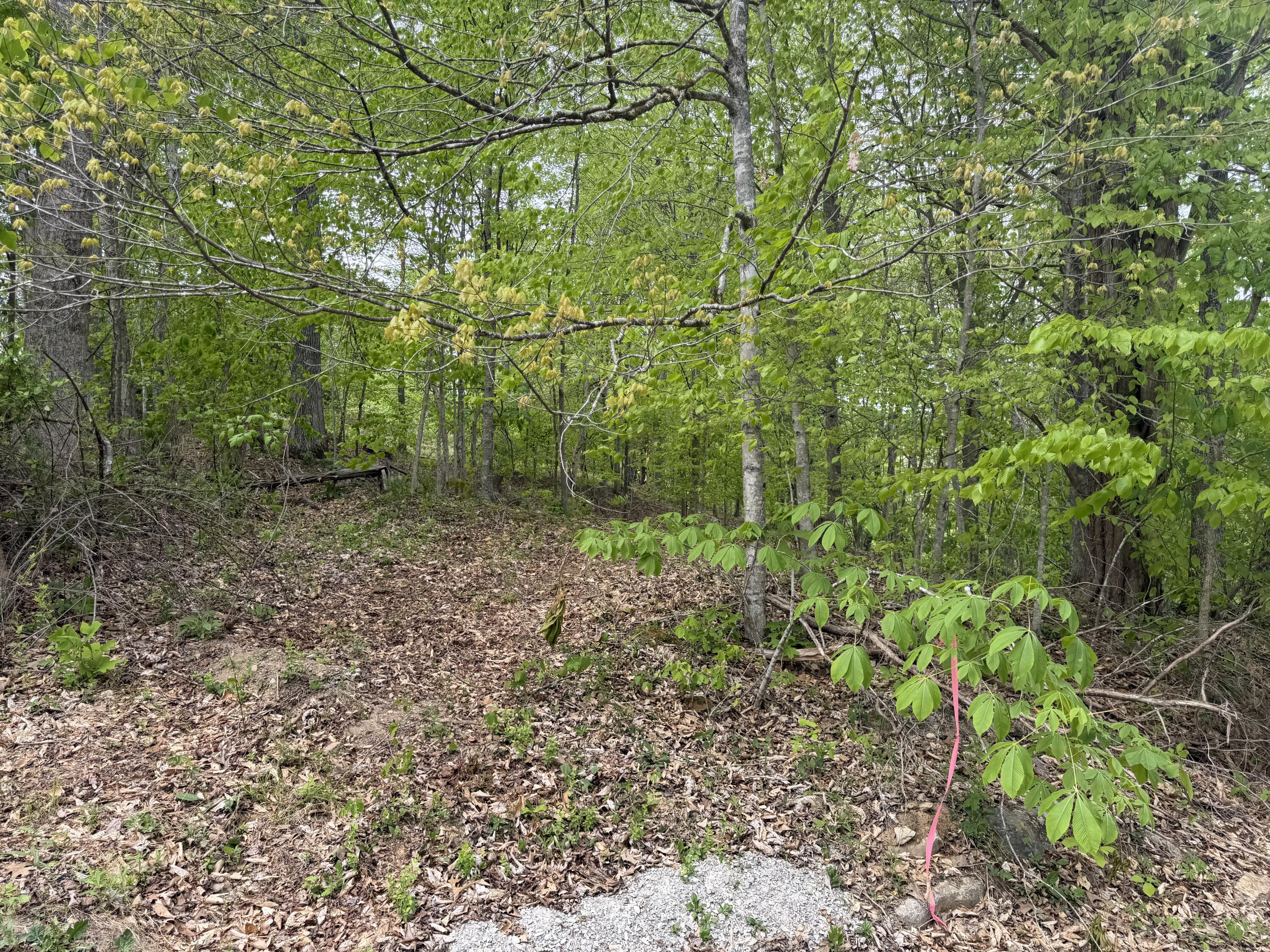 999 Big Cave Road Property Photo 4