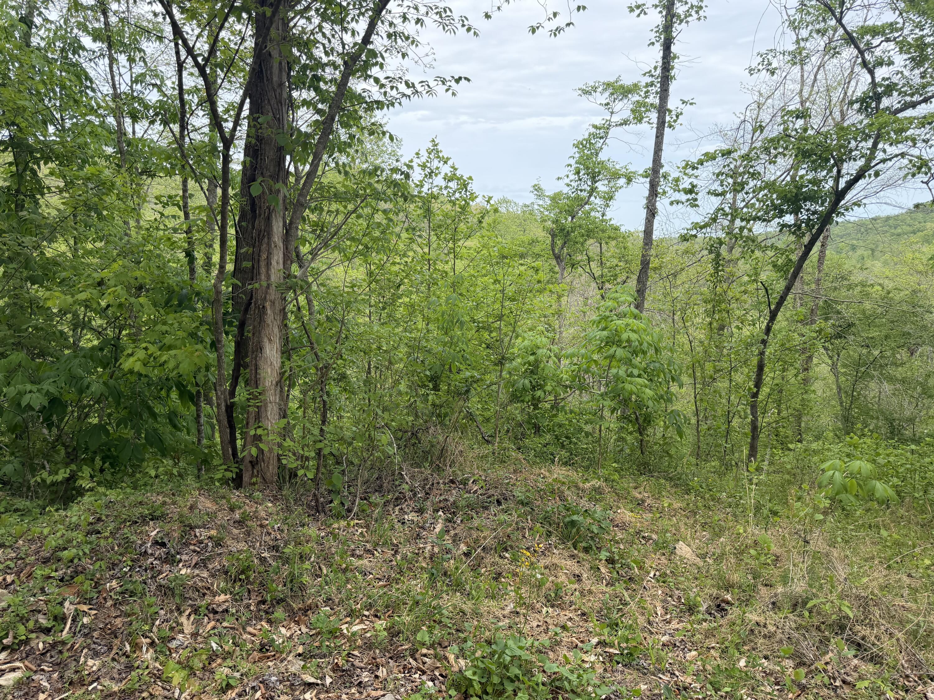 999 Big Cave Road Property Photo 5