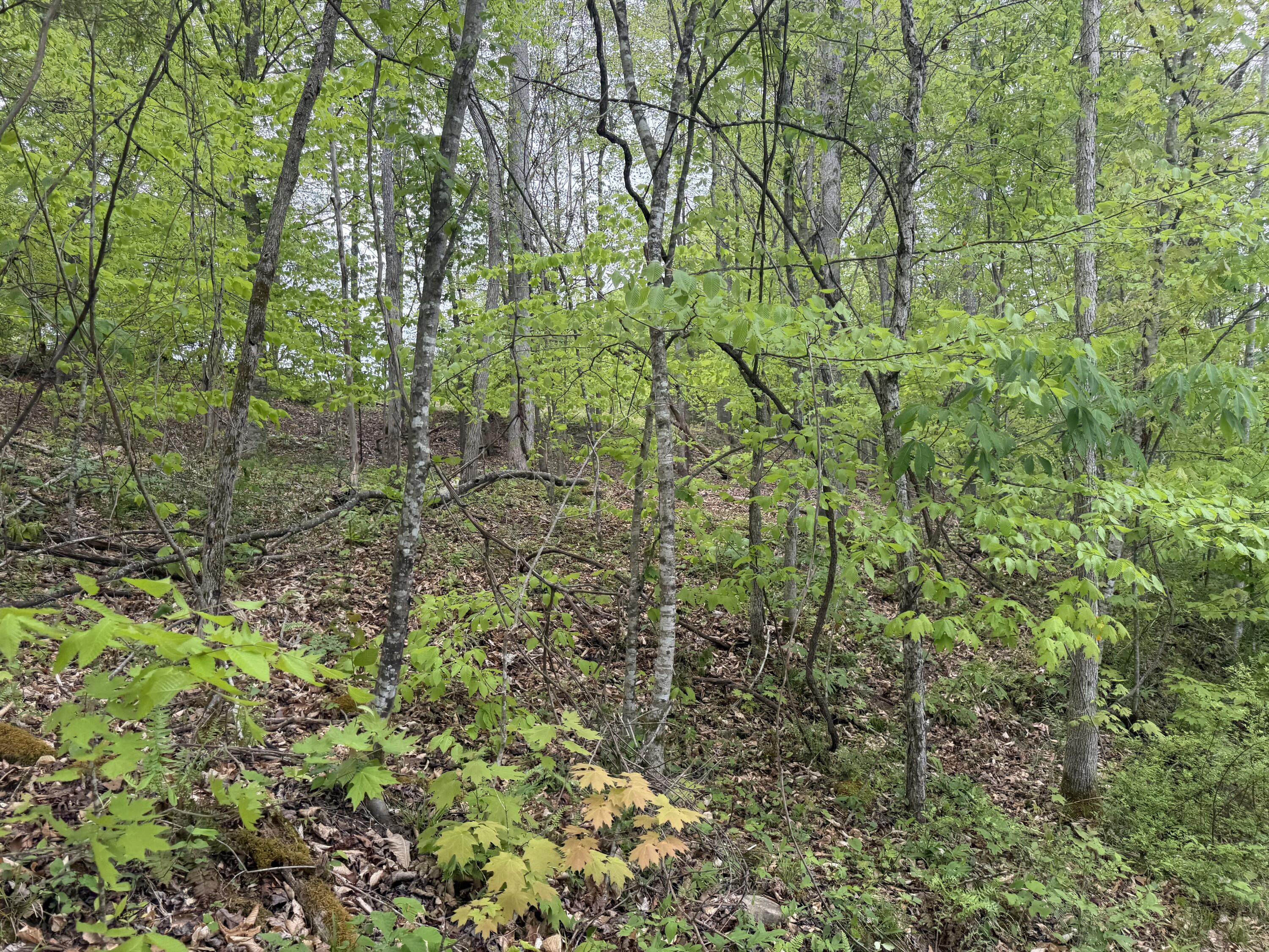999 Big Cave Road Property Photo 7