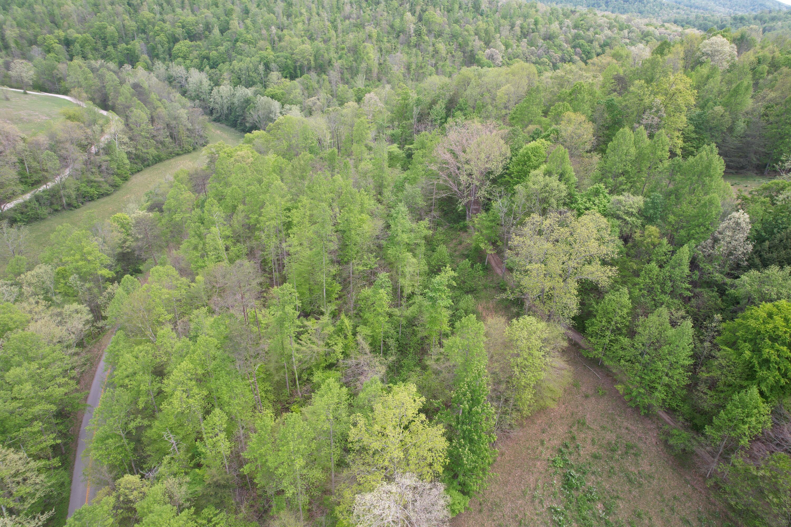 999 Big Cave Road Property Photo 8