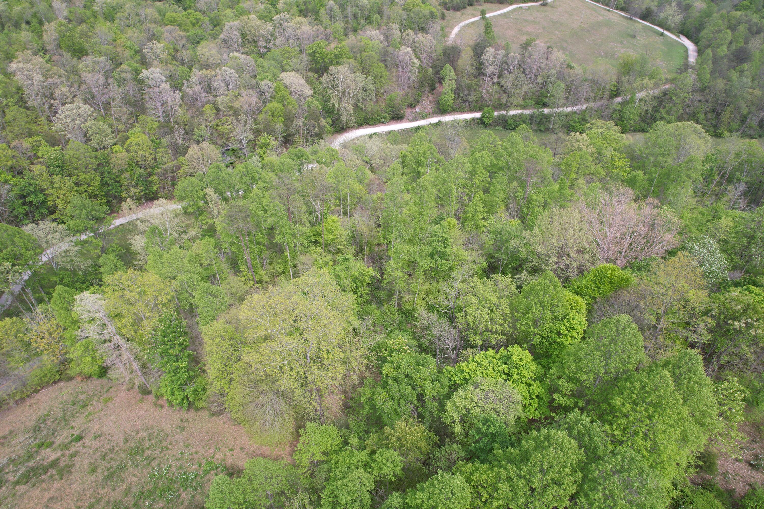 999 Big Cave Road Property Photo 10