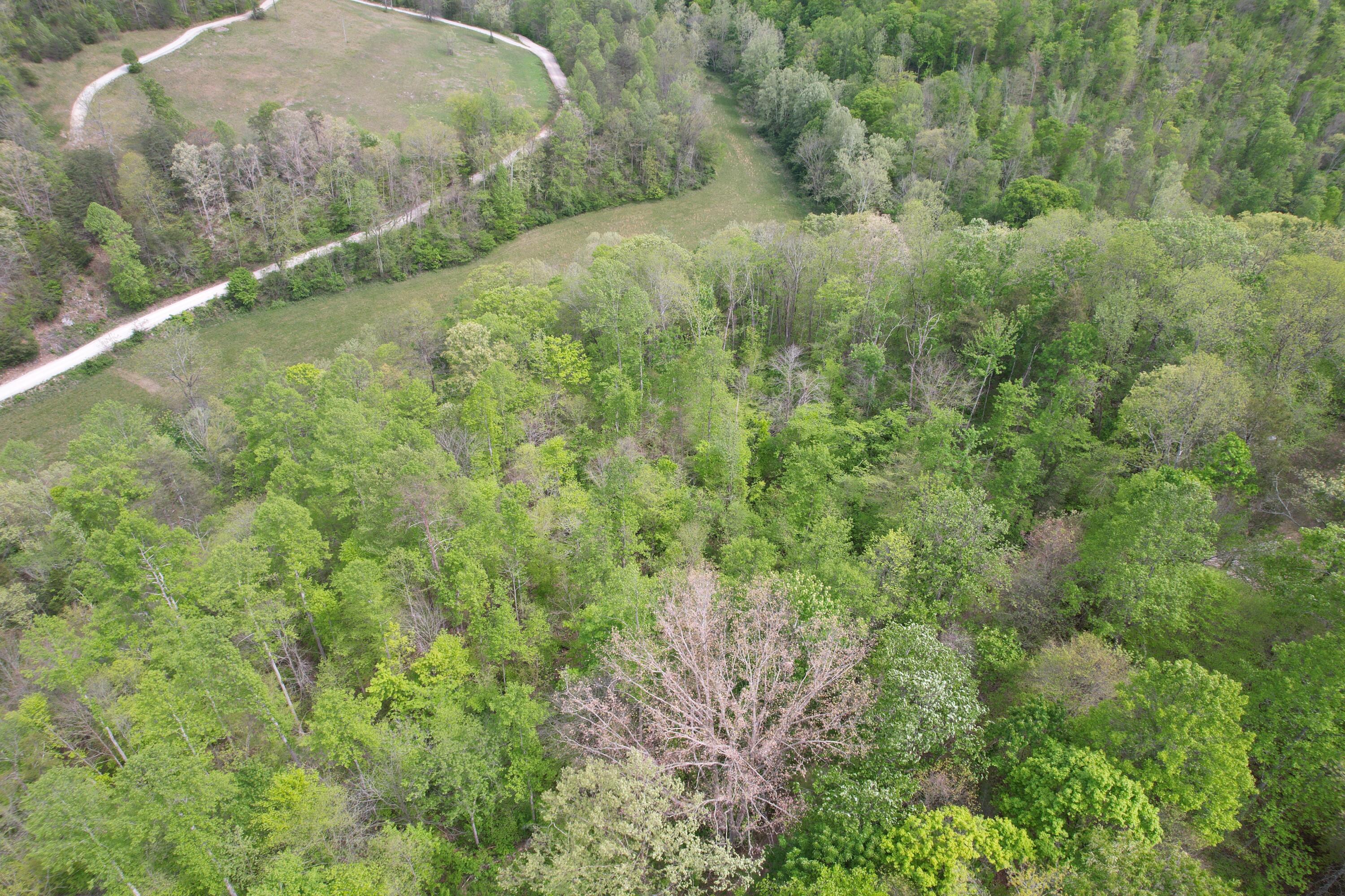 999 Big Cave Road Property Photo 11