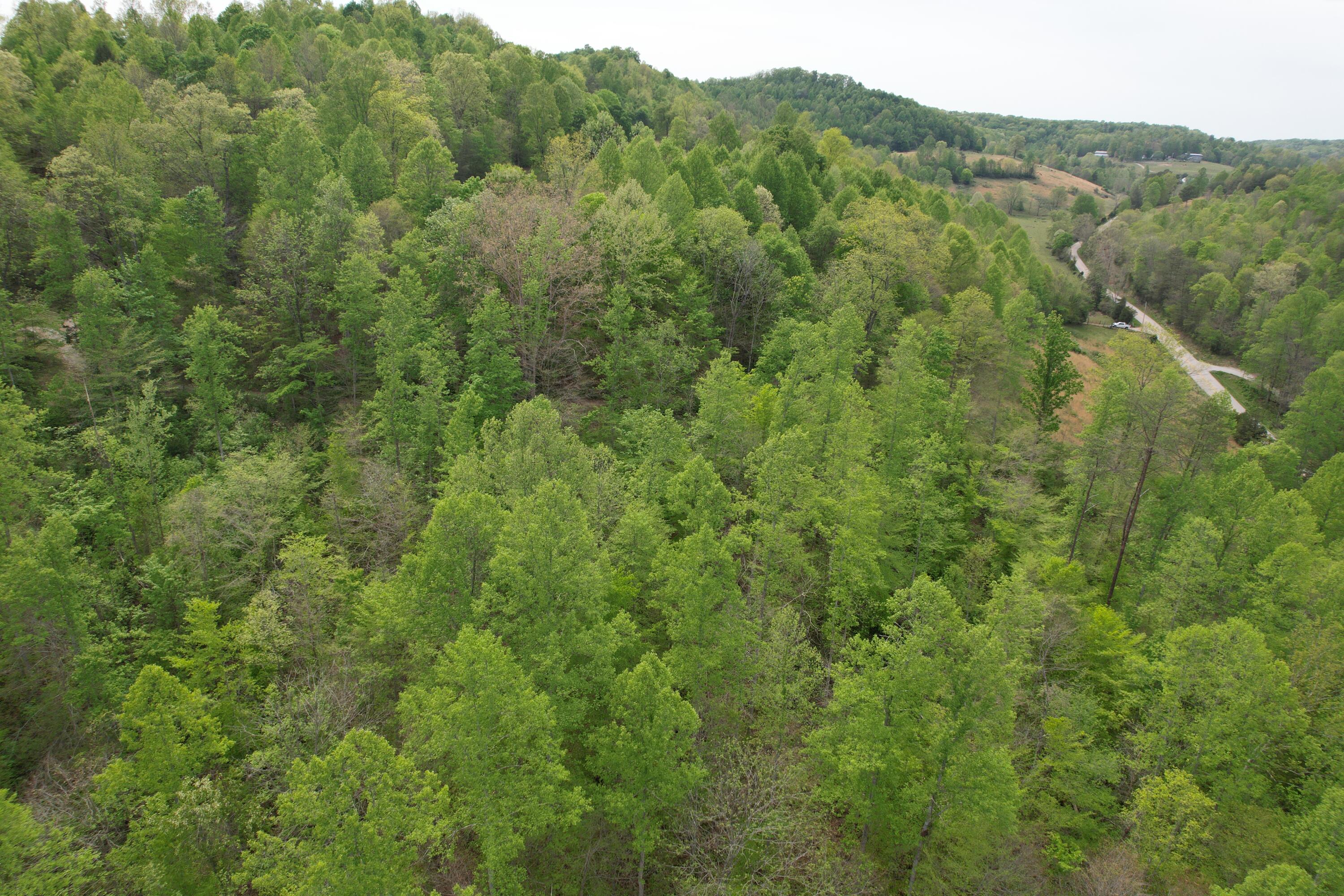 999 Big Cave Road Property Photo 12