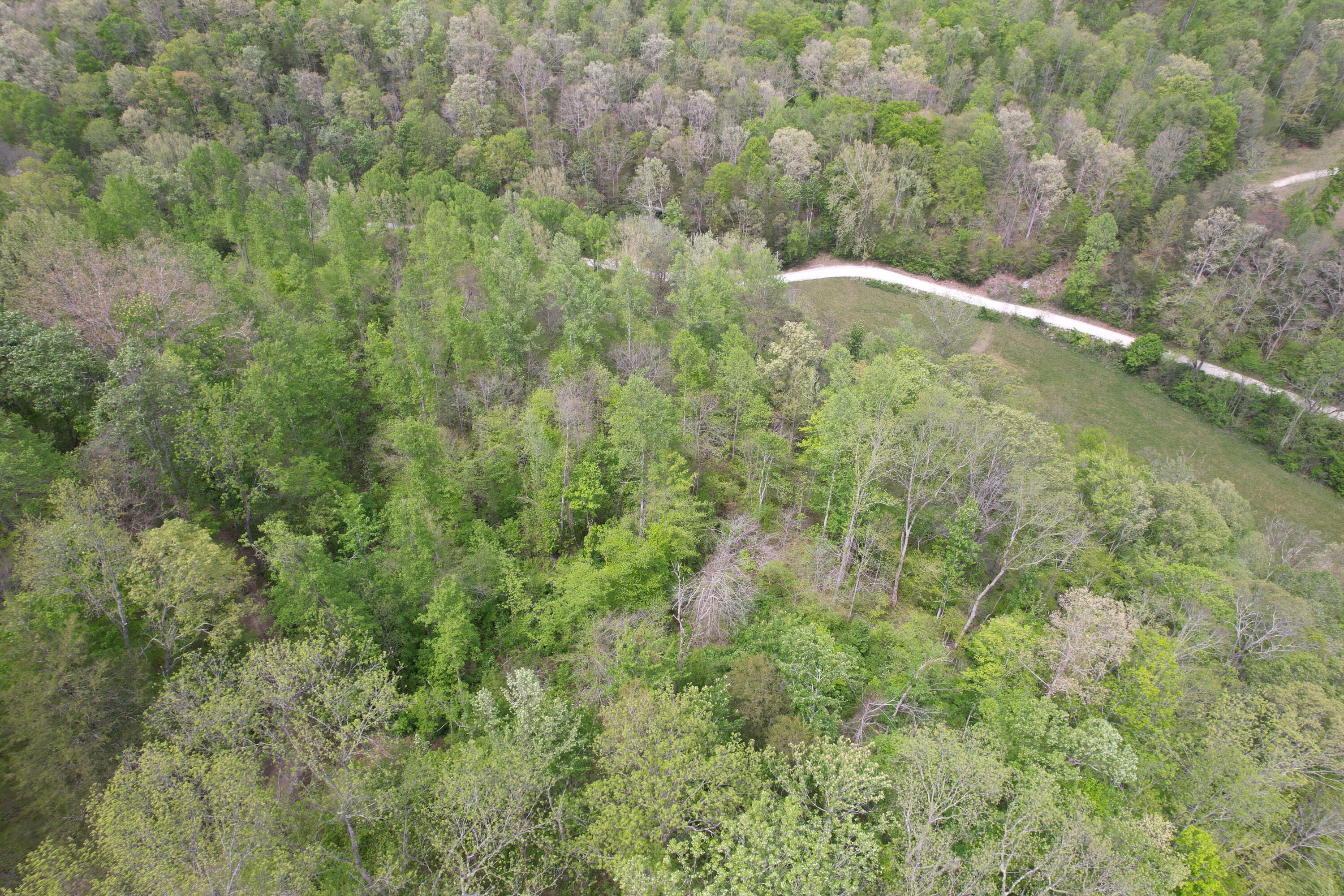 999 Big Cave Road Property Photo 13