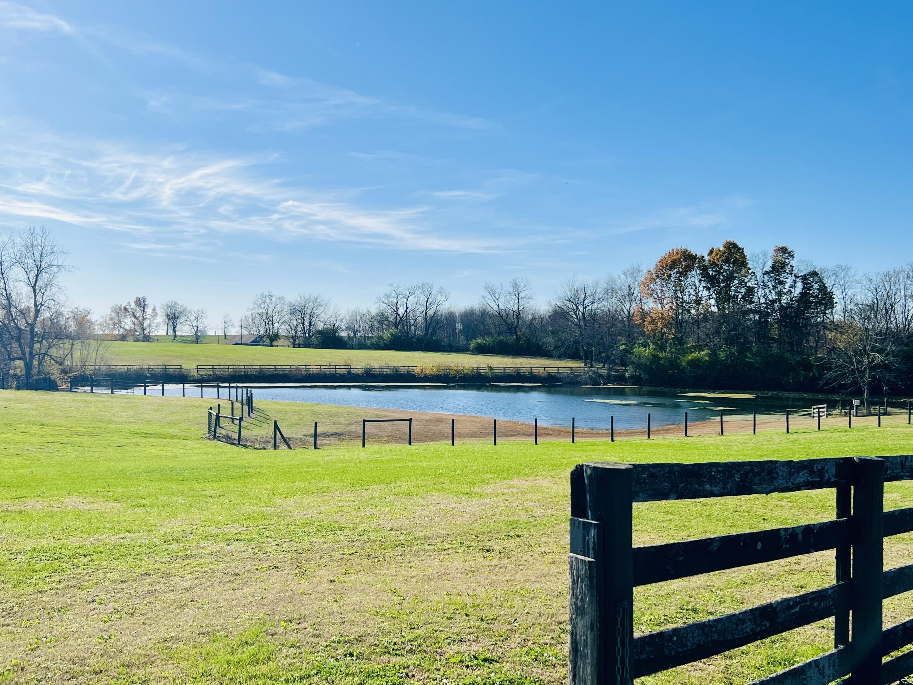 1830 Jacks Creek Pike Property Photo 88