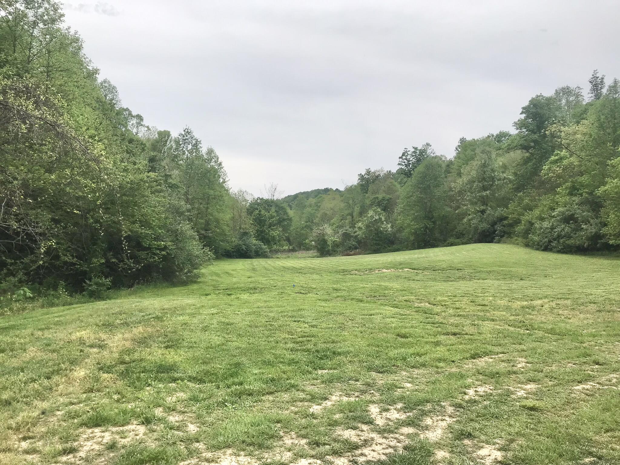 528 Skaggs Drive Property Photo 19