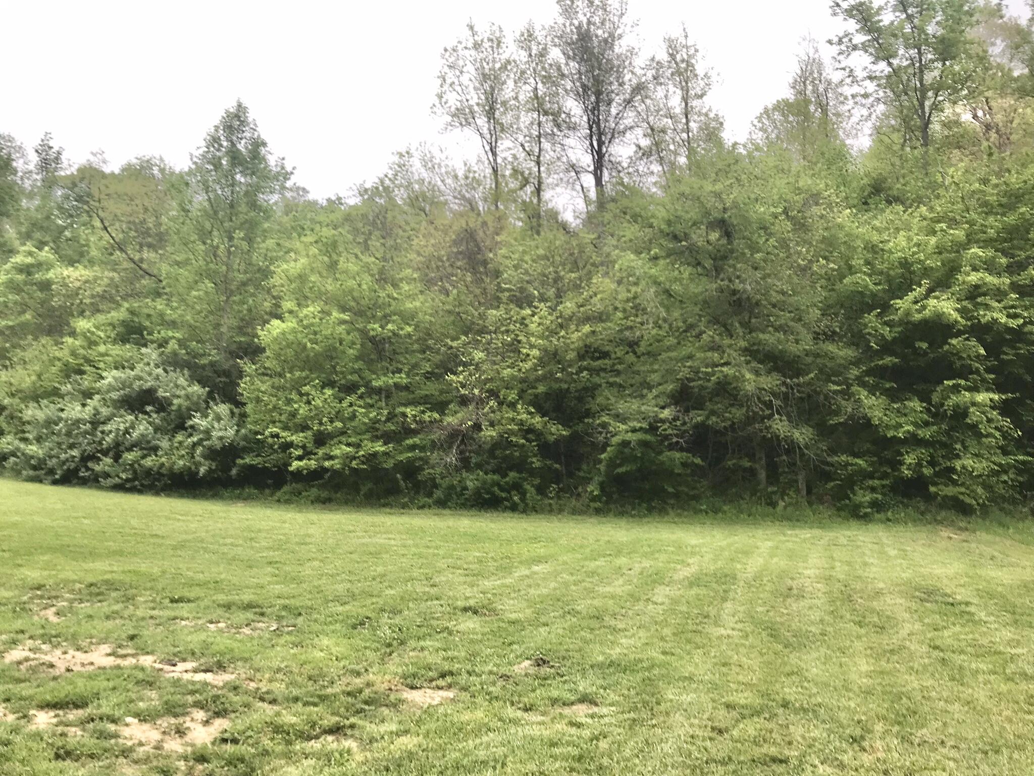 528 Skaggs Drive Property Photo 21