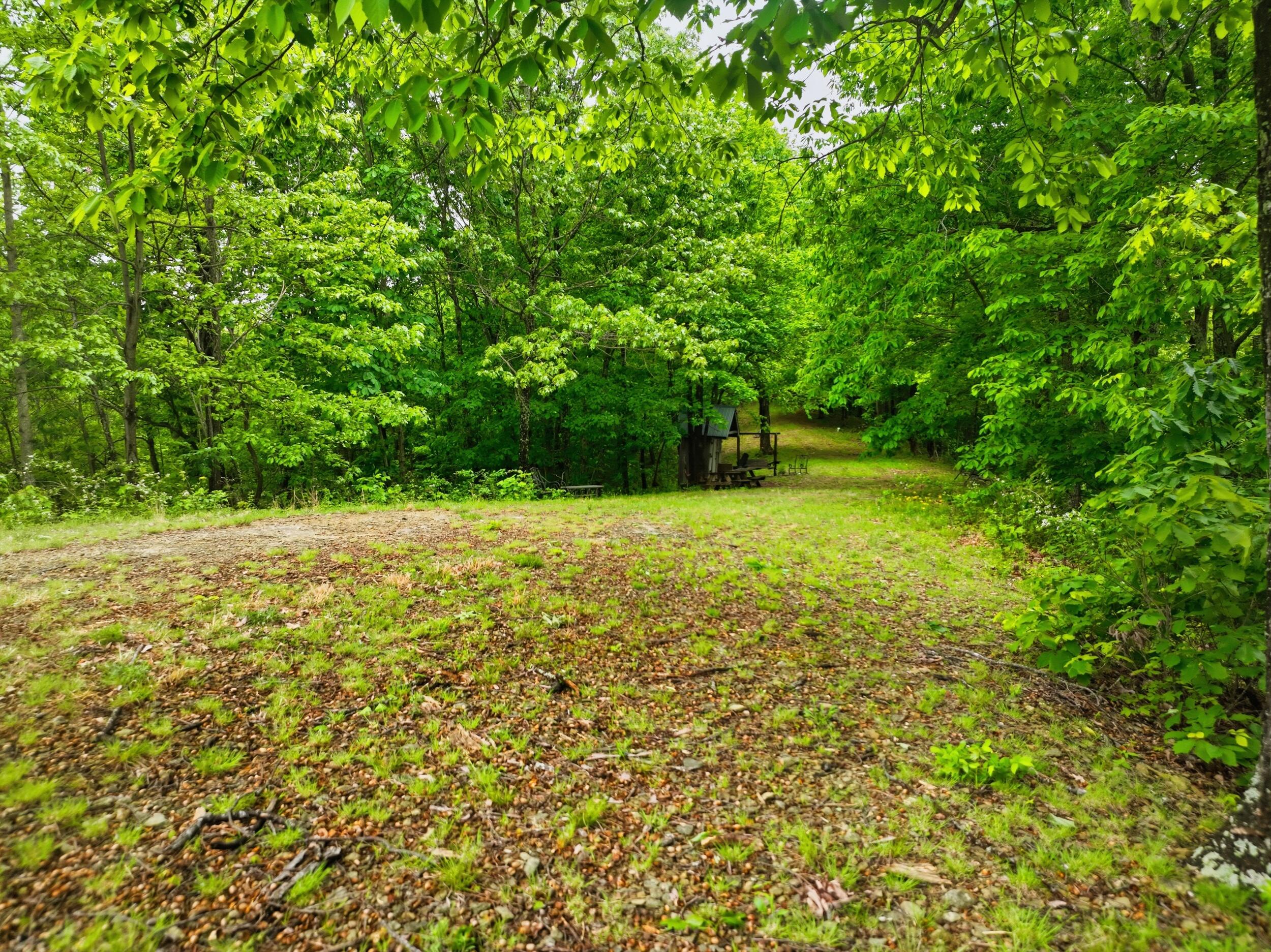 380 Mitchell Hts Lane Property Photo 13