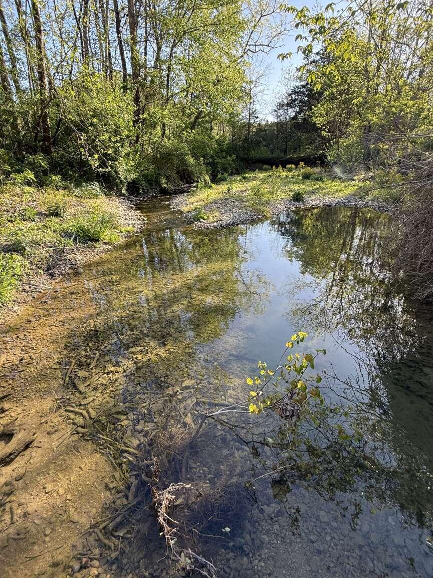 1234 Jonathan Fork Road Property Photo 1