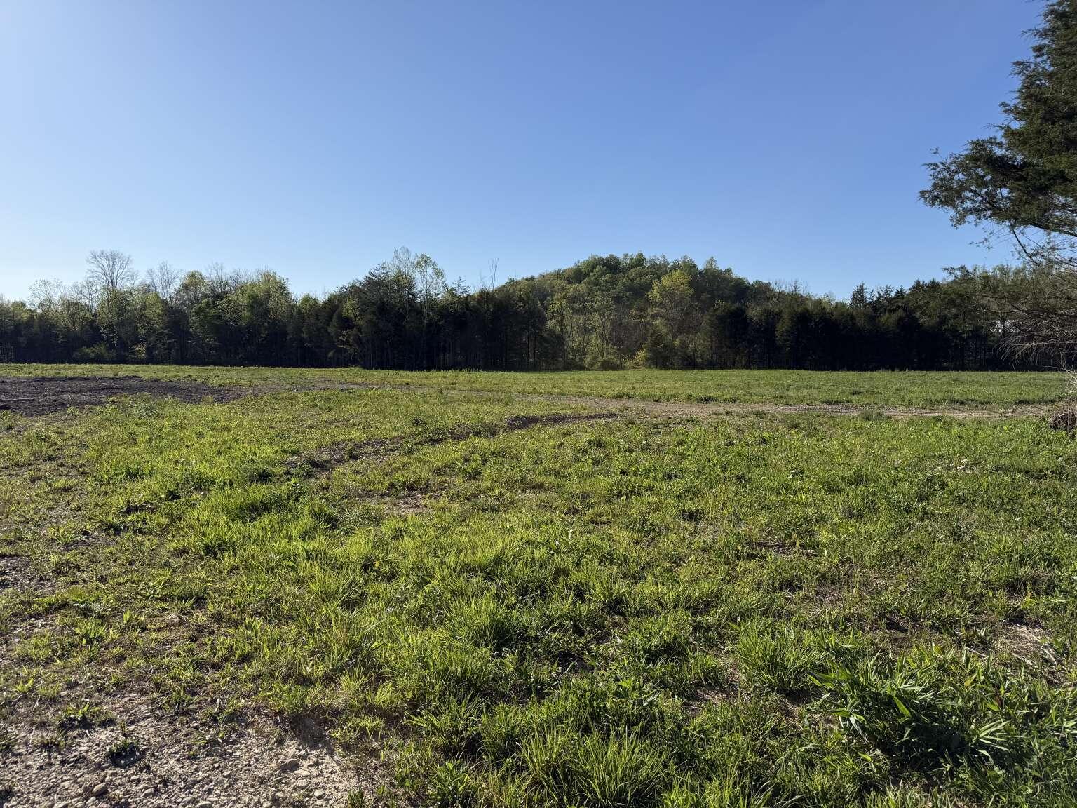 1234 Jonathan Fork Road Property Photo 2