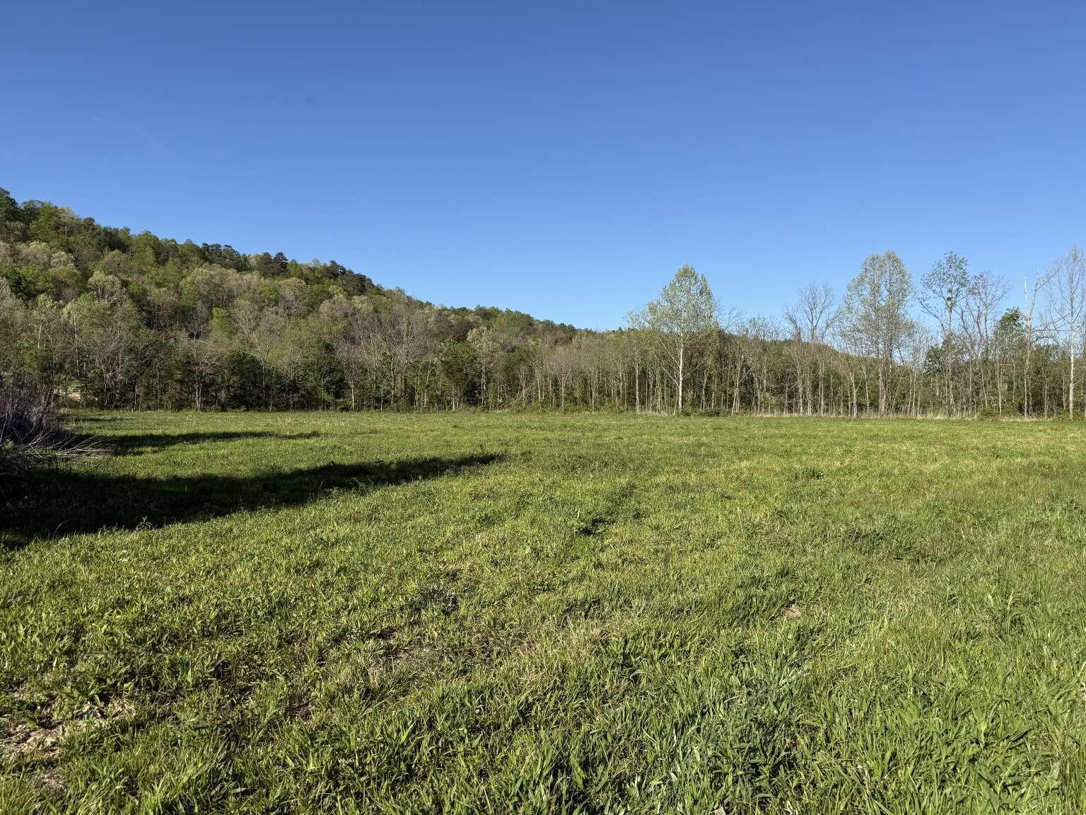 1234 Jonathan Fork Road Property Photo 3
