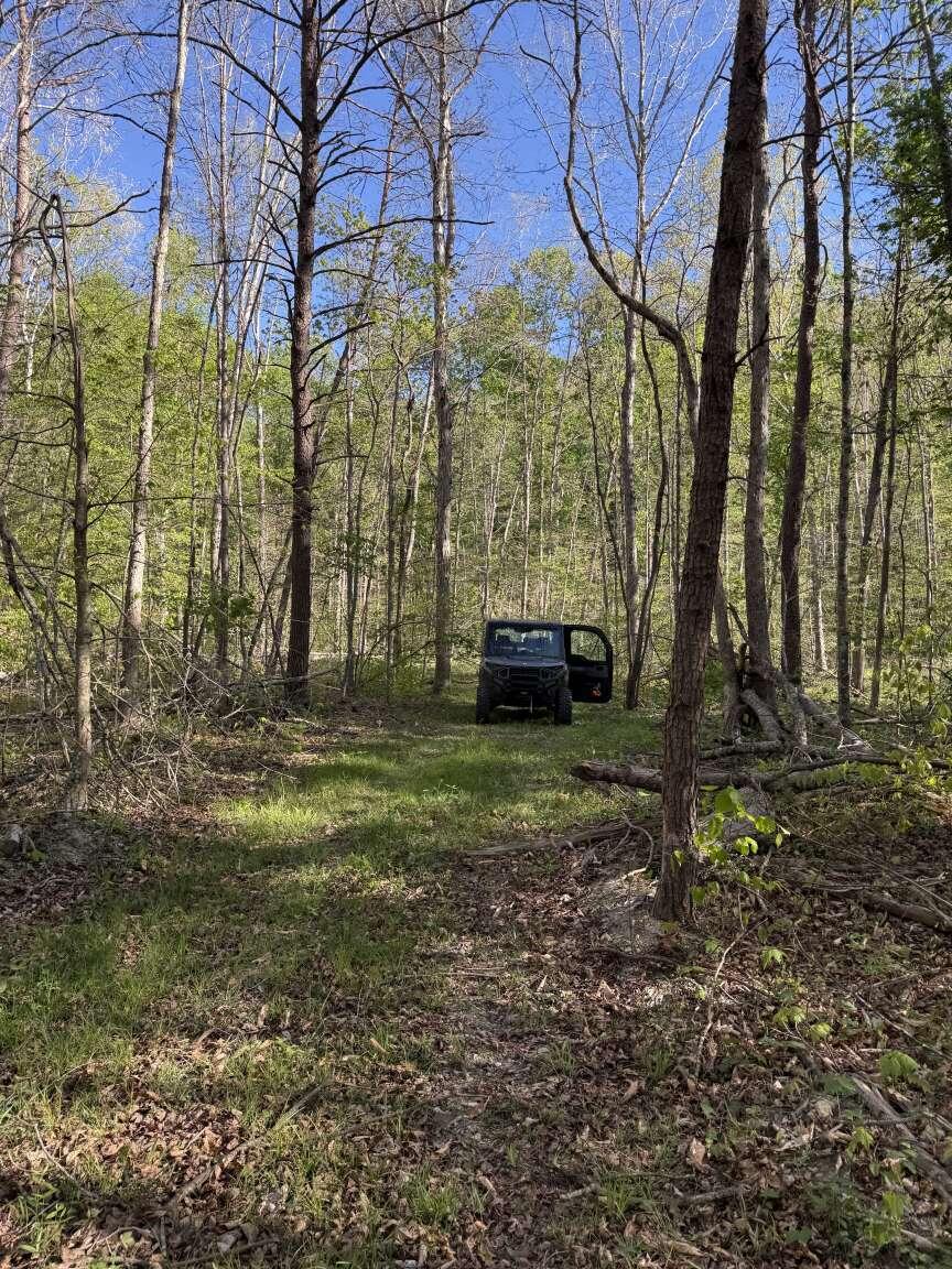 1234 Jonathan Fork Road Property Photo 8