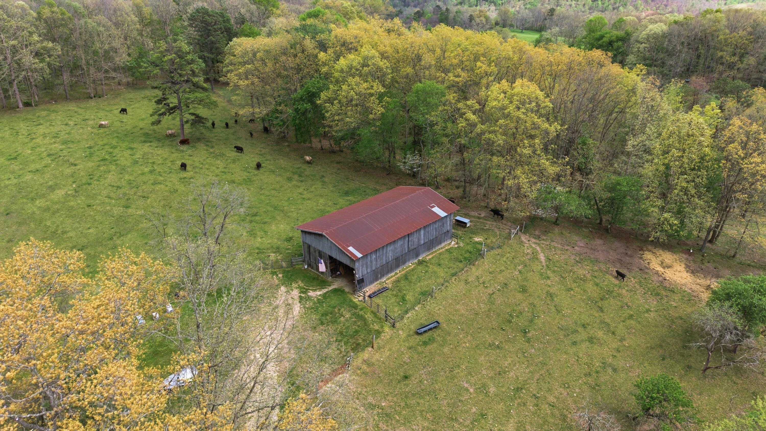 595 Ky-2002 Property Photo 3