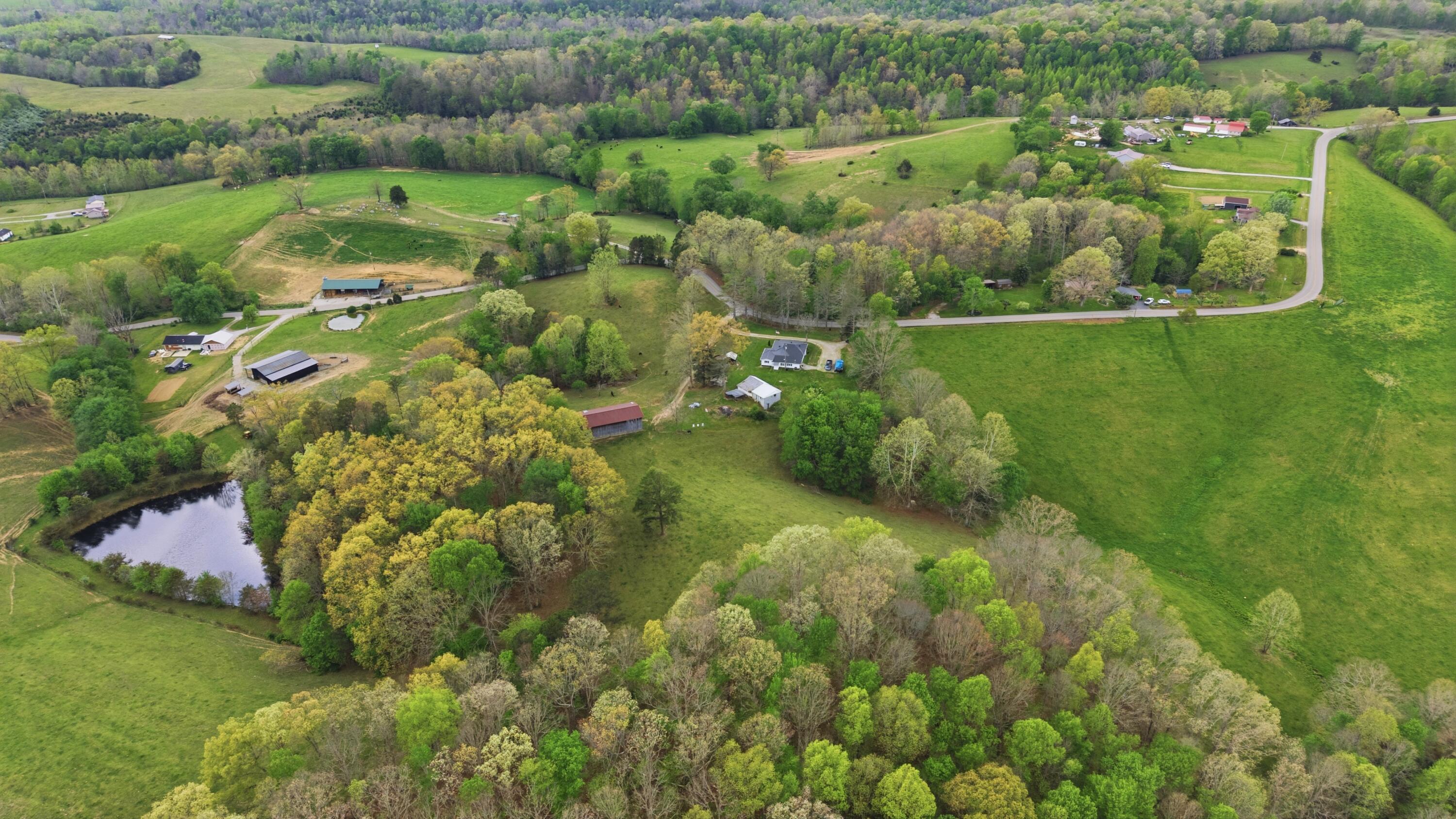 595 Ky-2002 Property Photo 4
