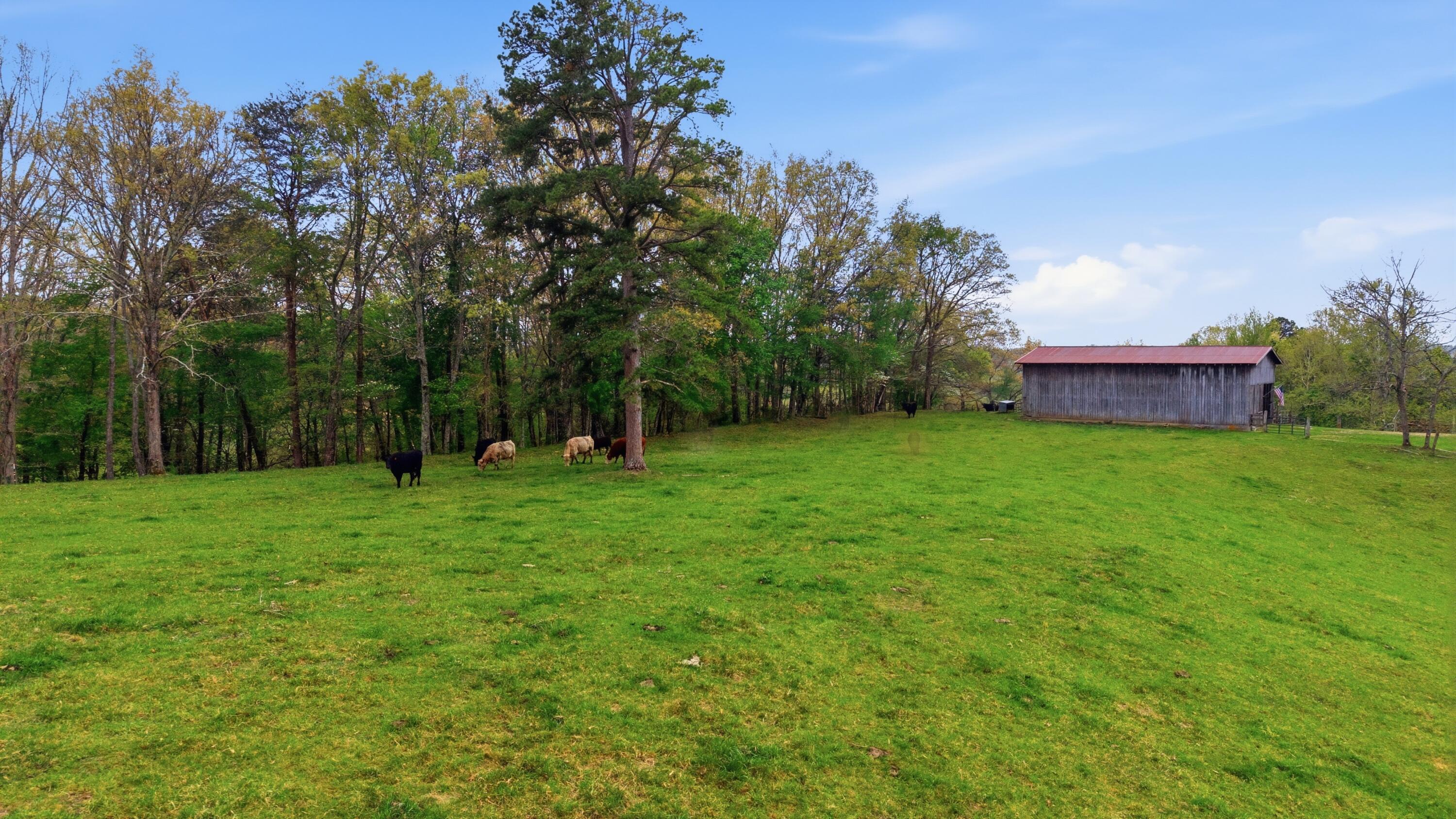 595 Ky-2002 Property Photo 65