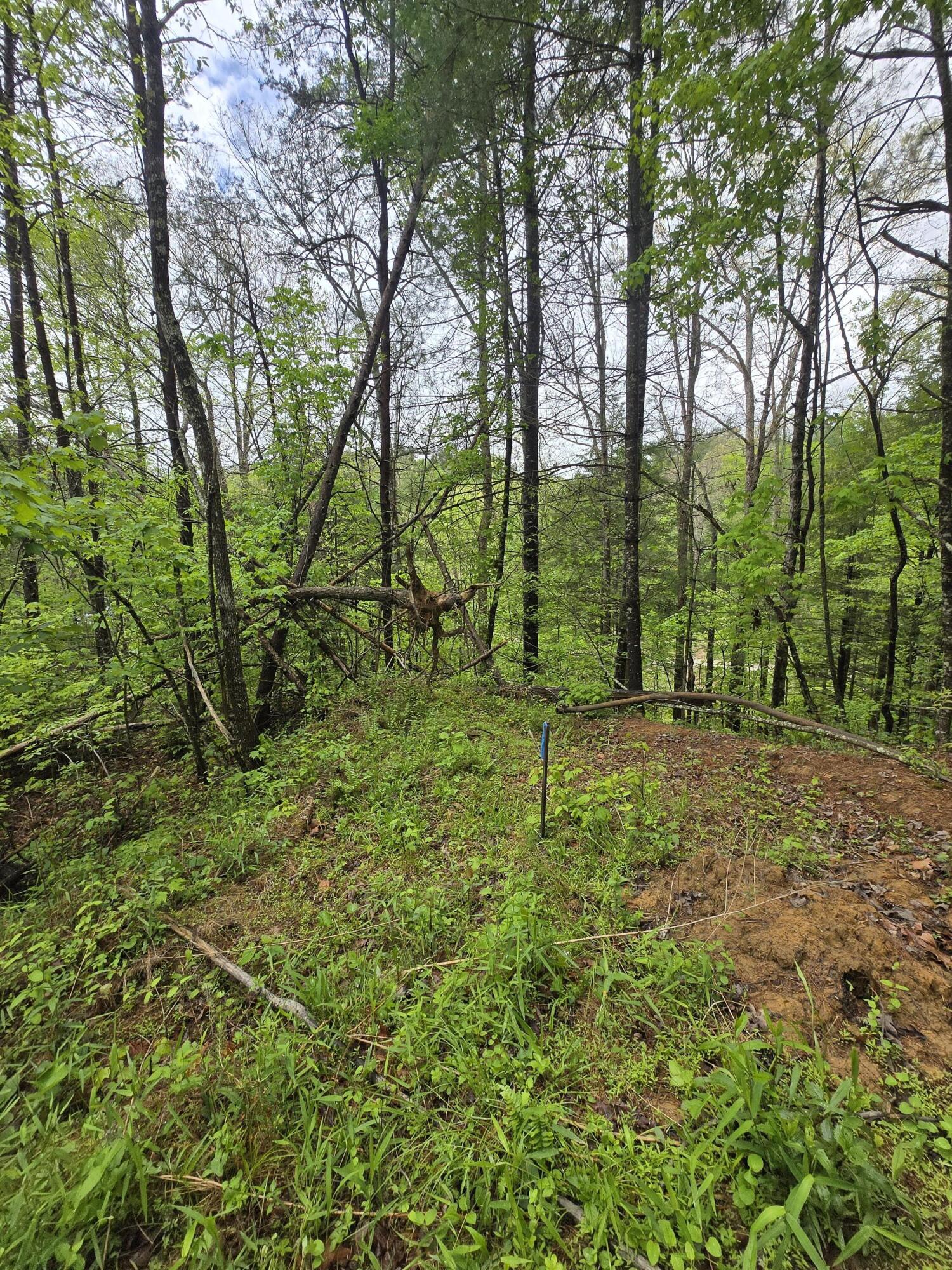 Lot 52 Soul Canyon Hideaways Development Property Photo 1