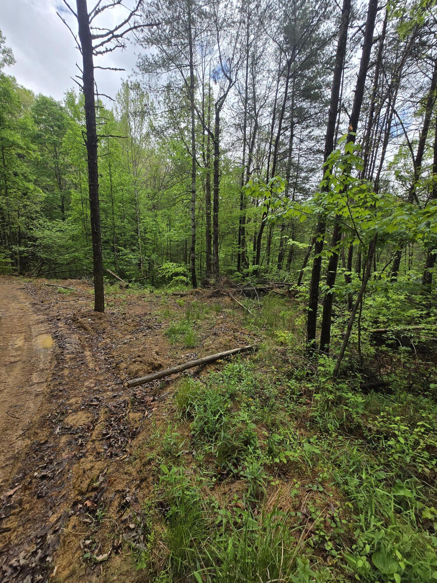 Lot 52 Soul Canyon Hideaways Development Property Photo 2