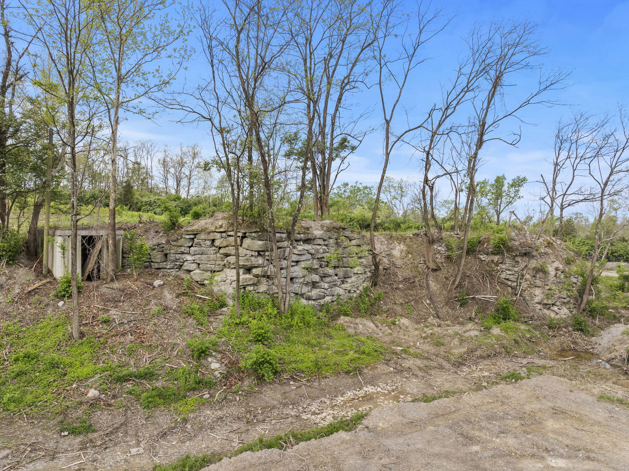 1514 Russell Cave Road Property Photo 14