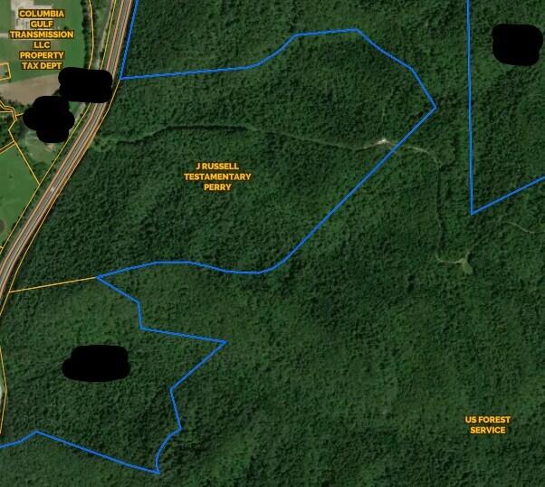 3300 Forestry Ridge Road Property Photo 11