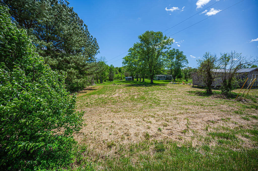0 Kentucky 15 Property Photo 7