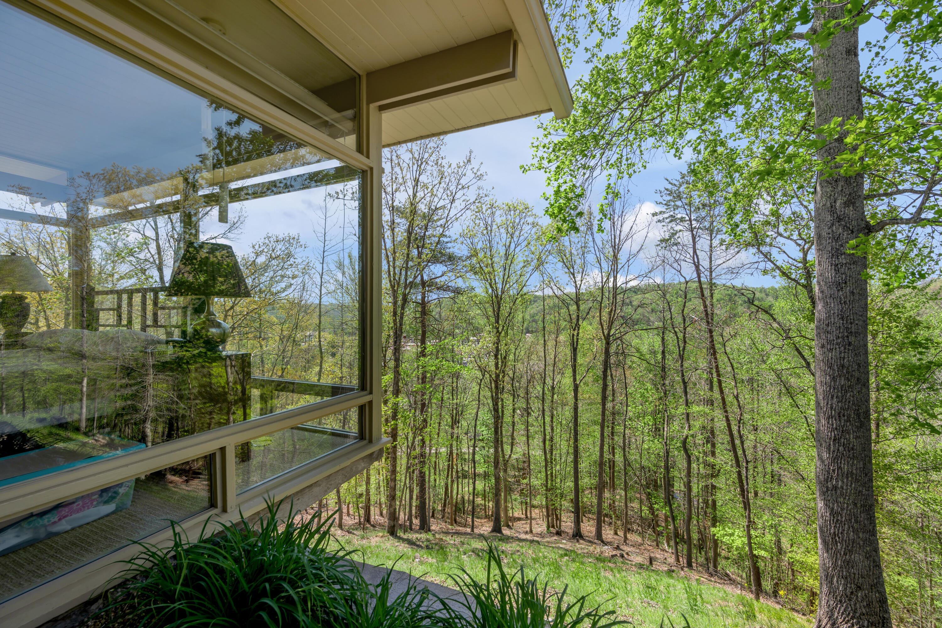 150 Pine Hill Drive Property Photo 124