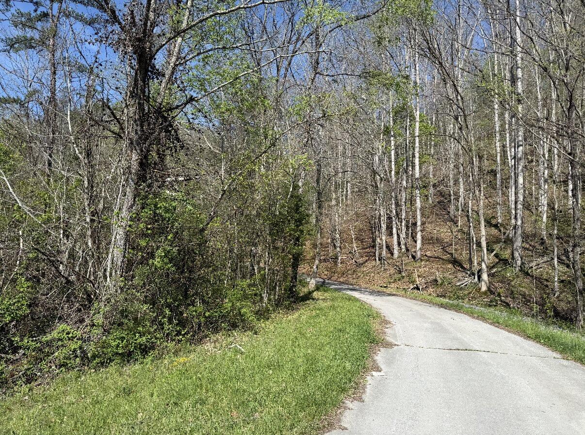 Tbd Kentucky 1274 Property Photo 2
