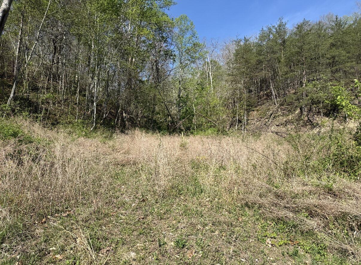 Tbd Kentucky 1274 Property Photo 7