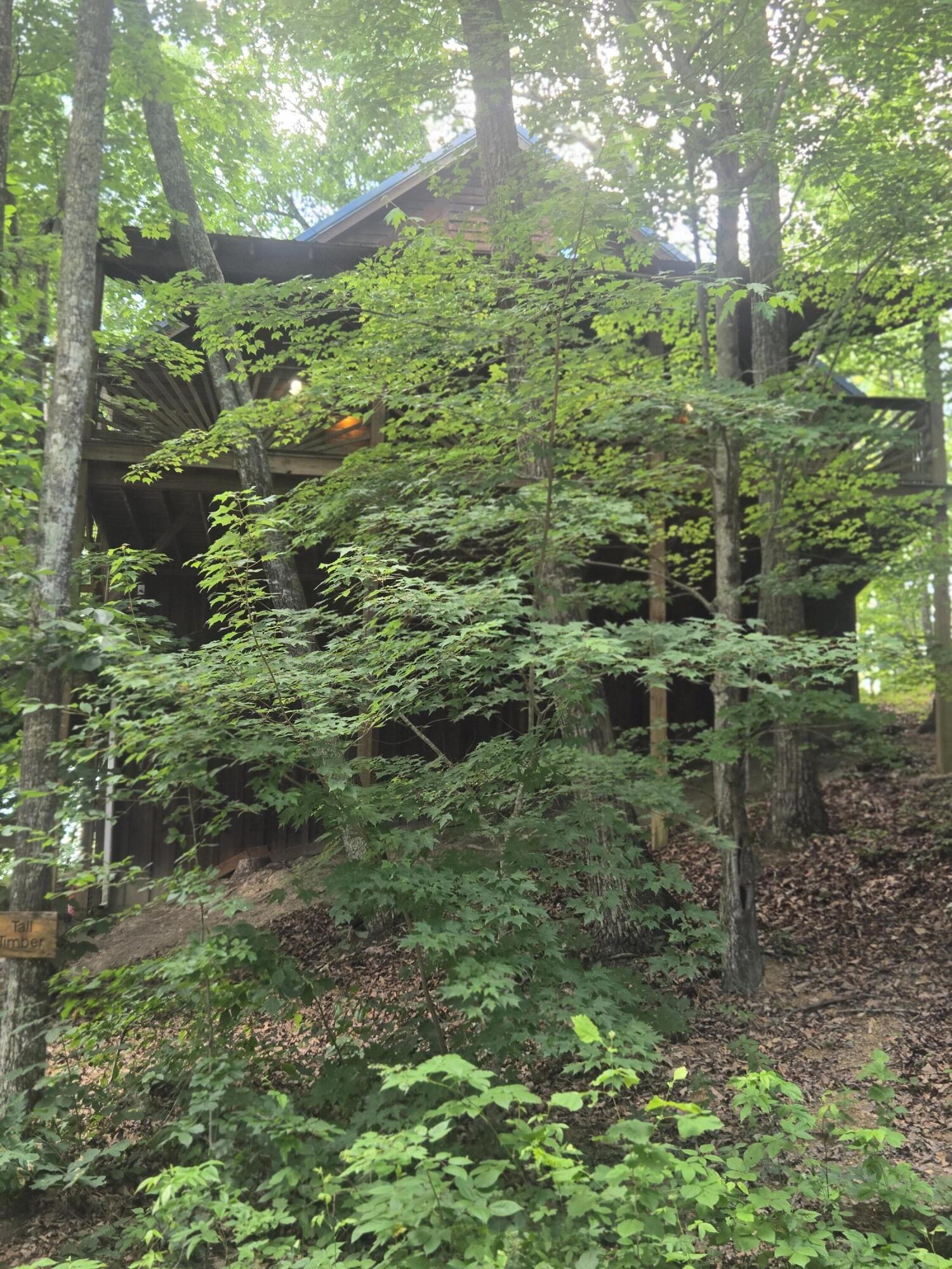 202 Getaways Road Property Photo 2