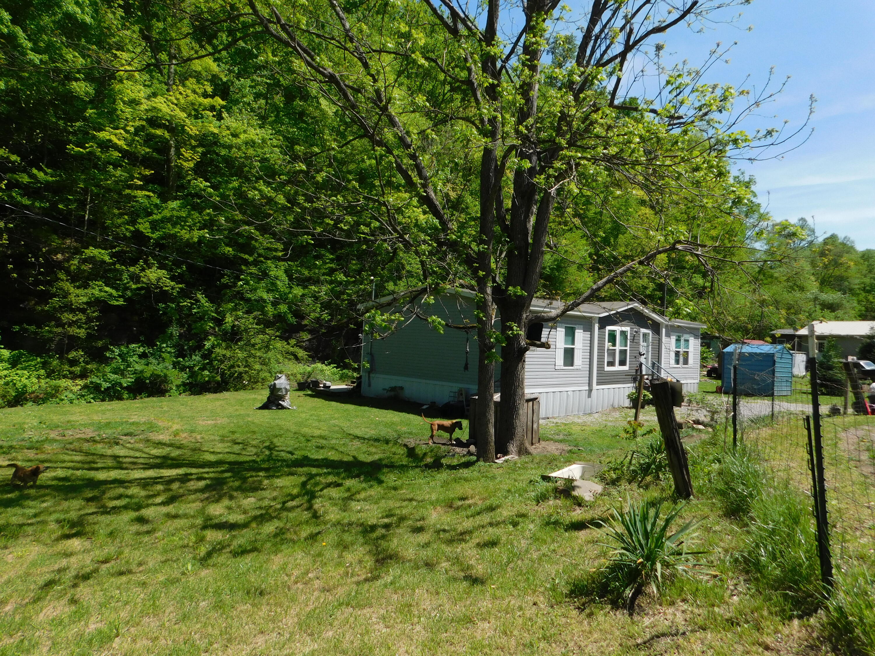 3587 Ky-219 Property Photo 61