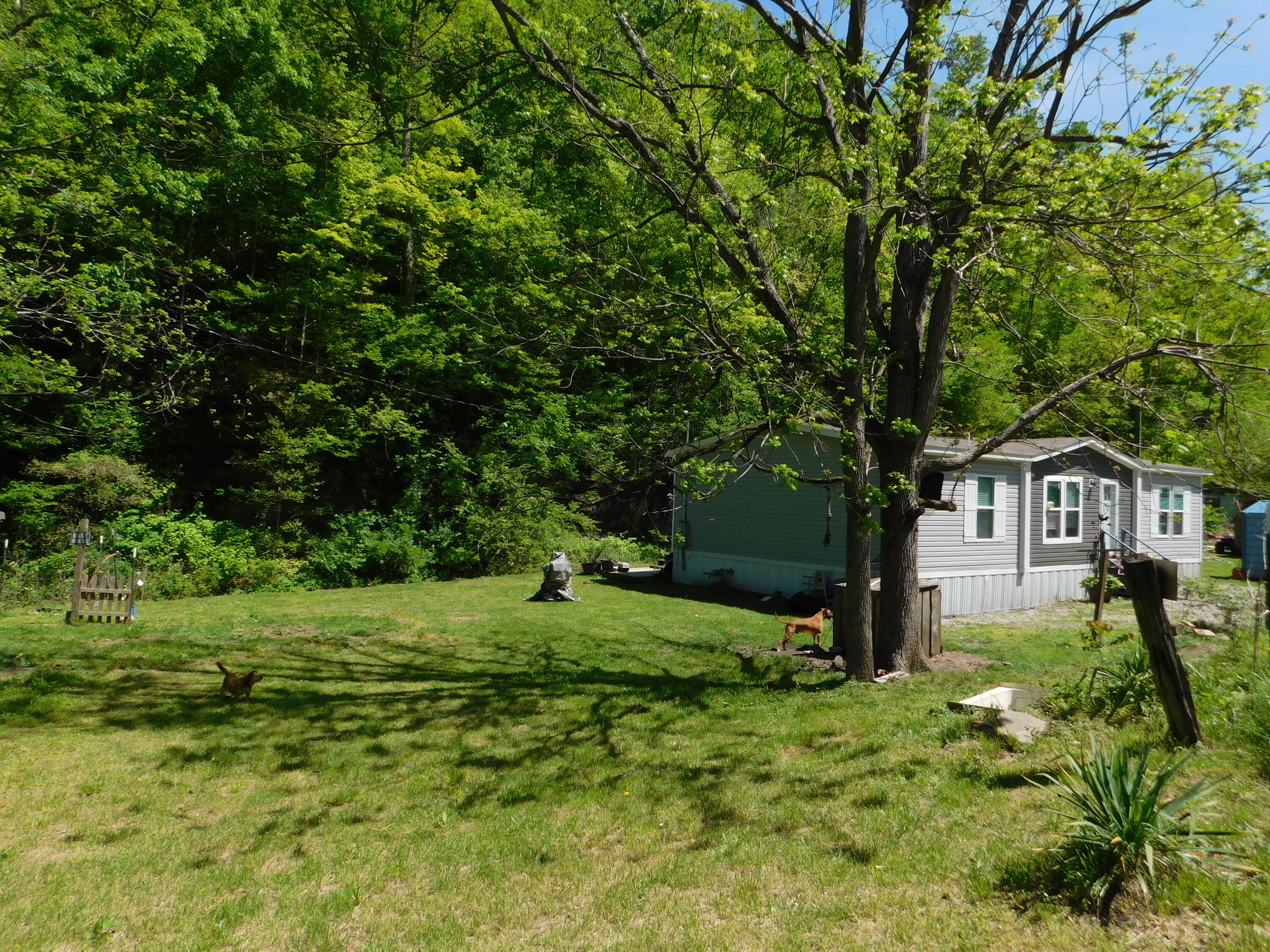 3587 Ky-219 Property Photo 62