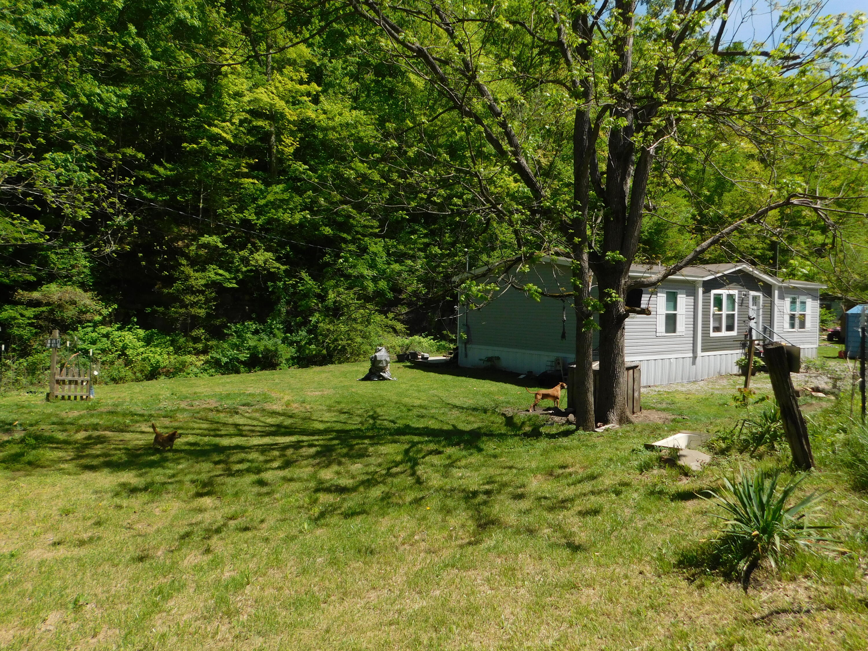 3587 Ky-219 Property Photo 63