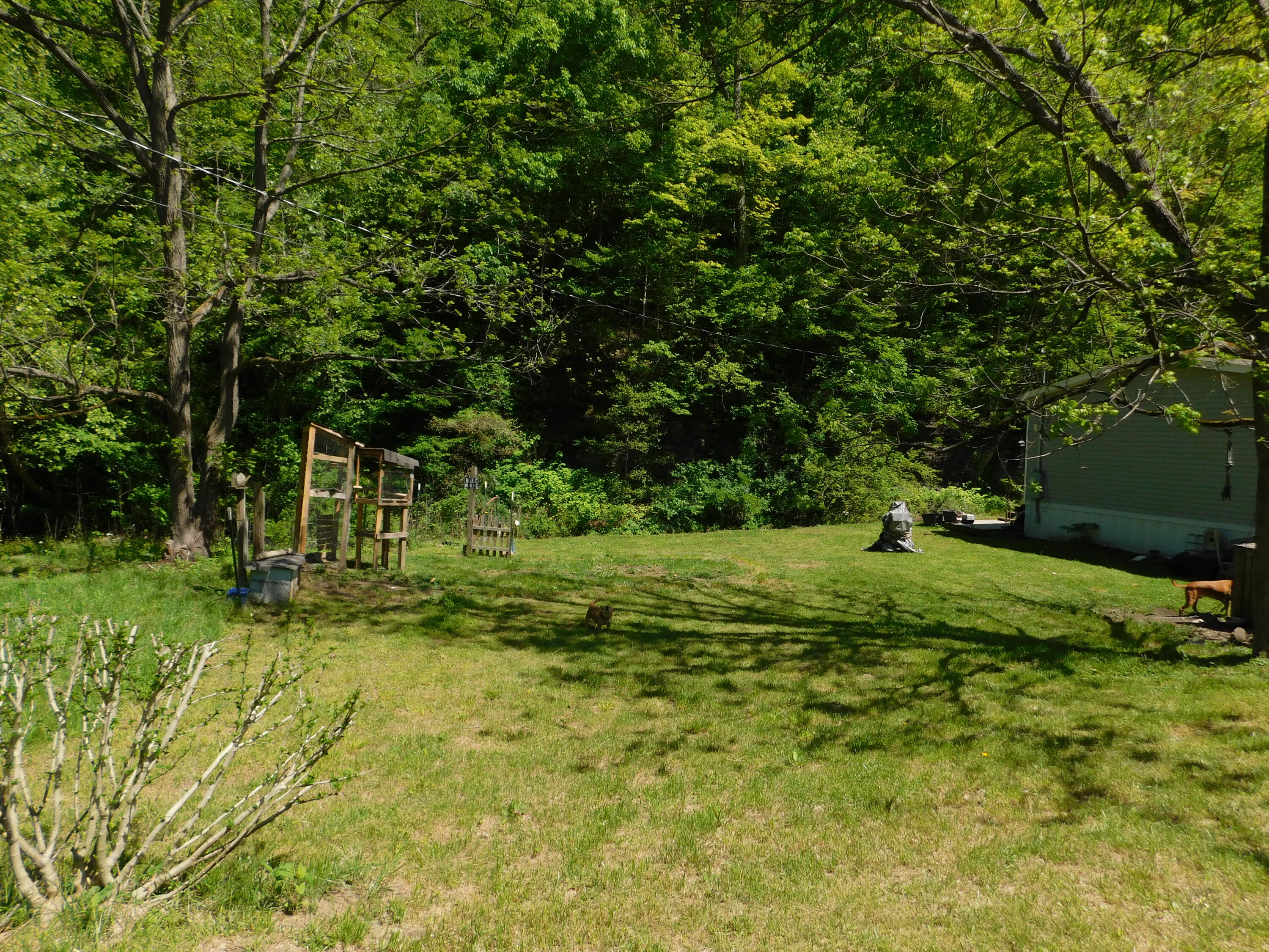 3587 Ky-219 Property Photo 64