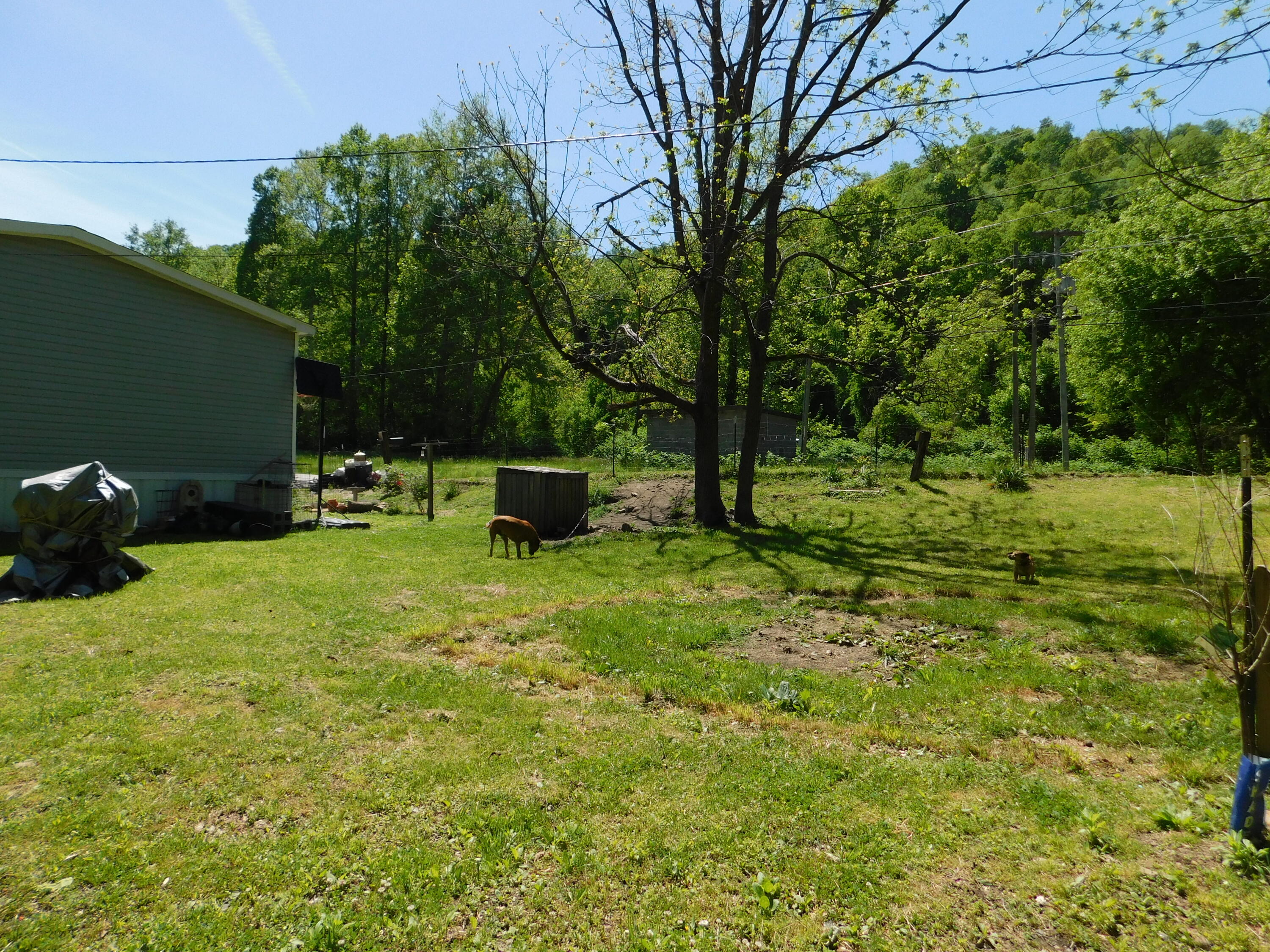 3587 Ky-219 Property Photo 68