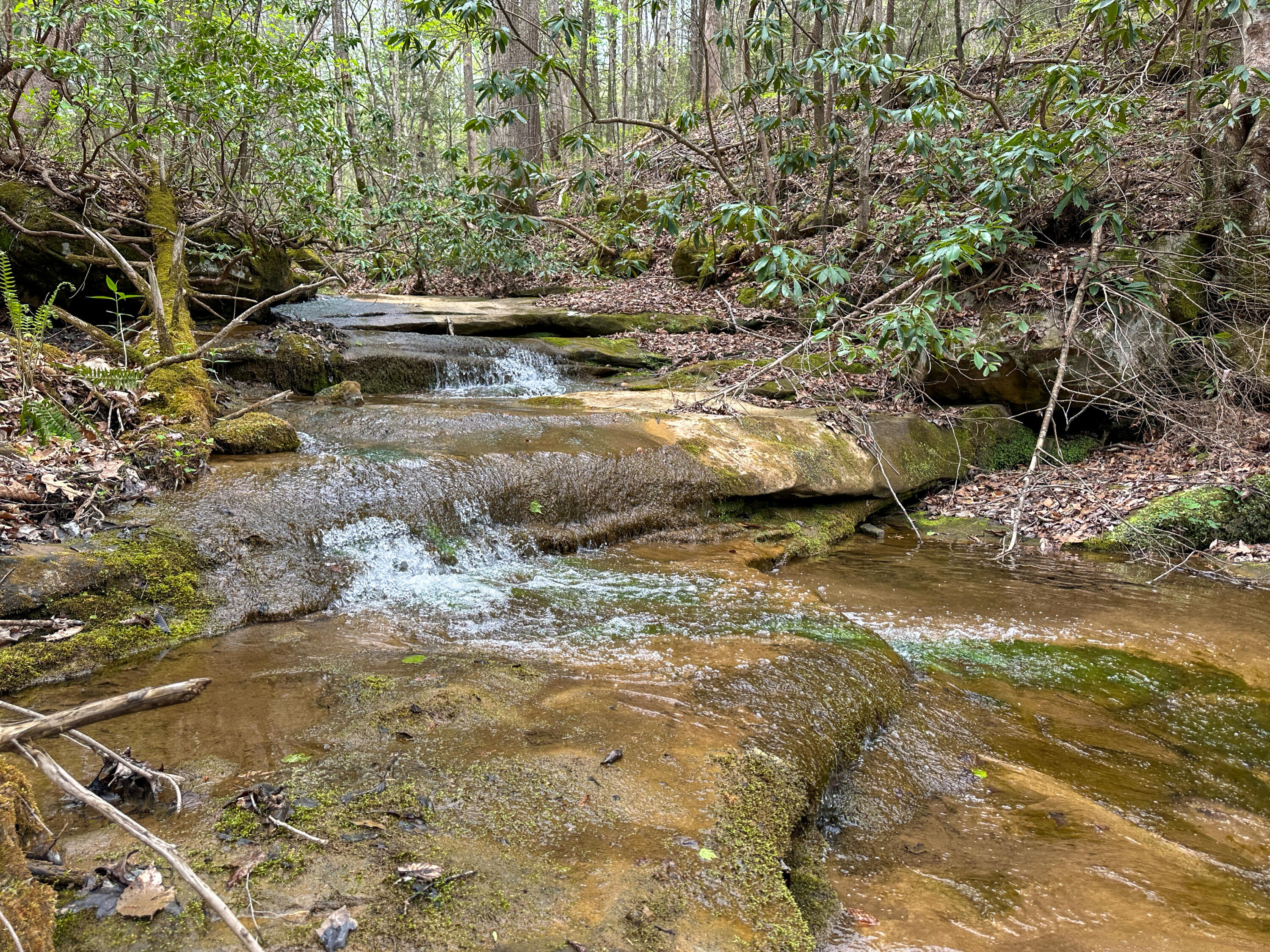 0 Dryfork Road Property Photo 1
