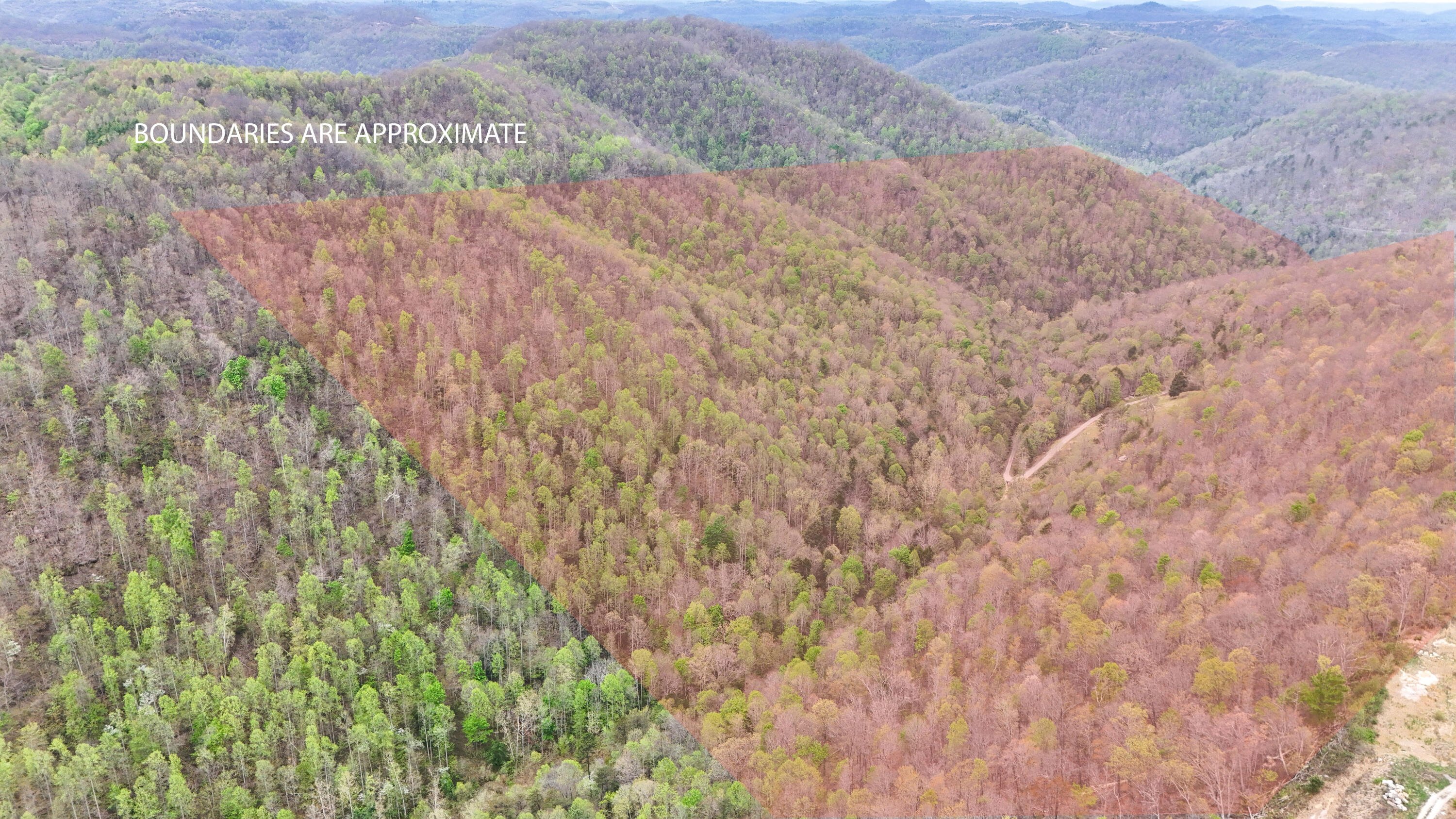 0 Dryfork Road Property Photo 3