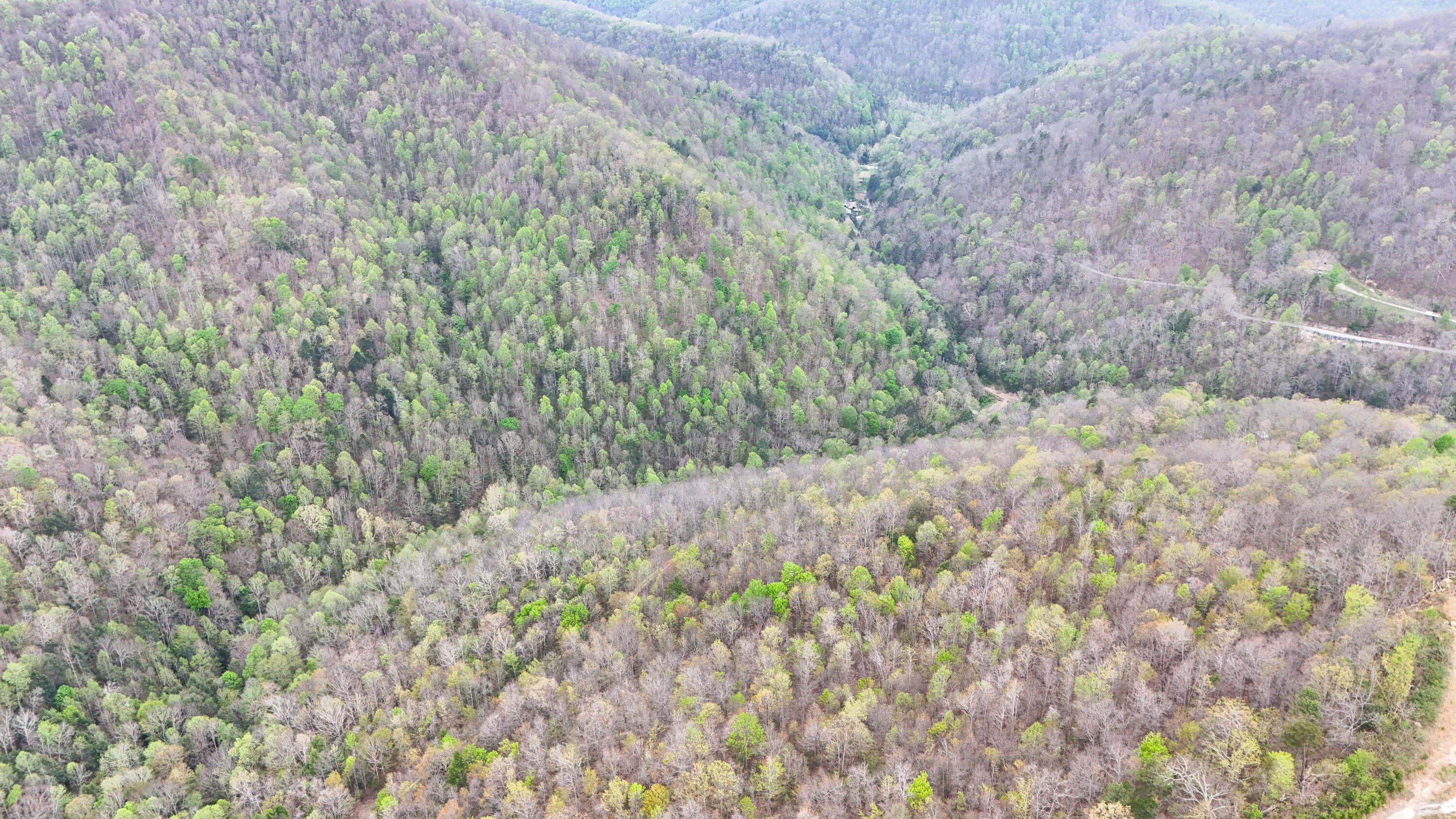 0 Dryfork Road Property Photo 4