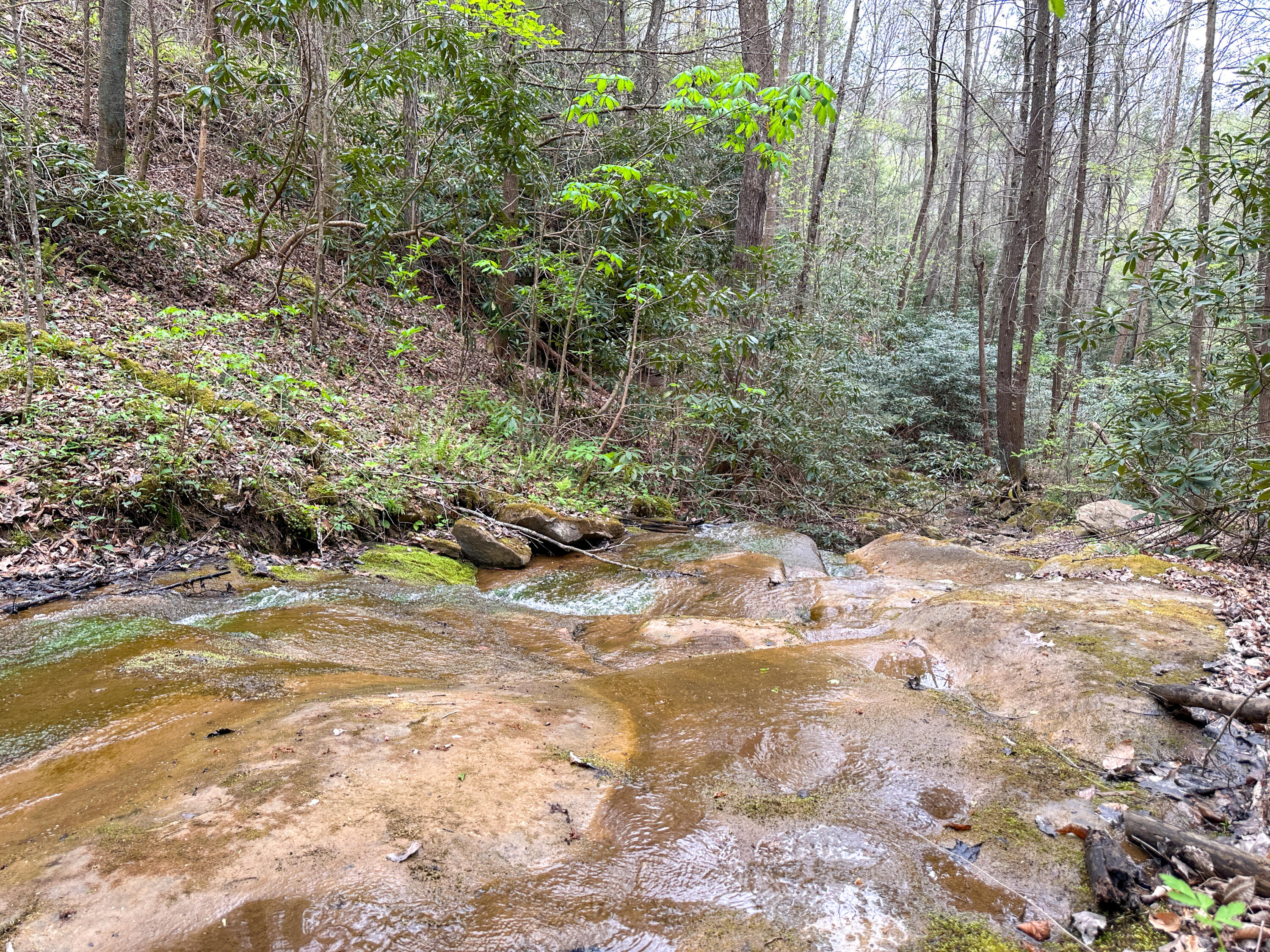 0 Dryfork Road Property Photo 5