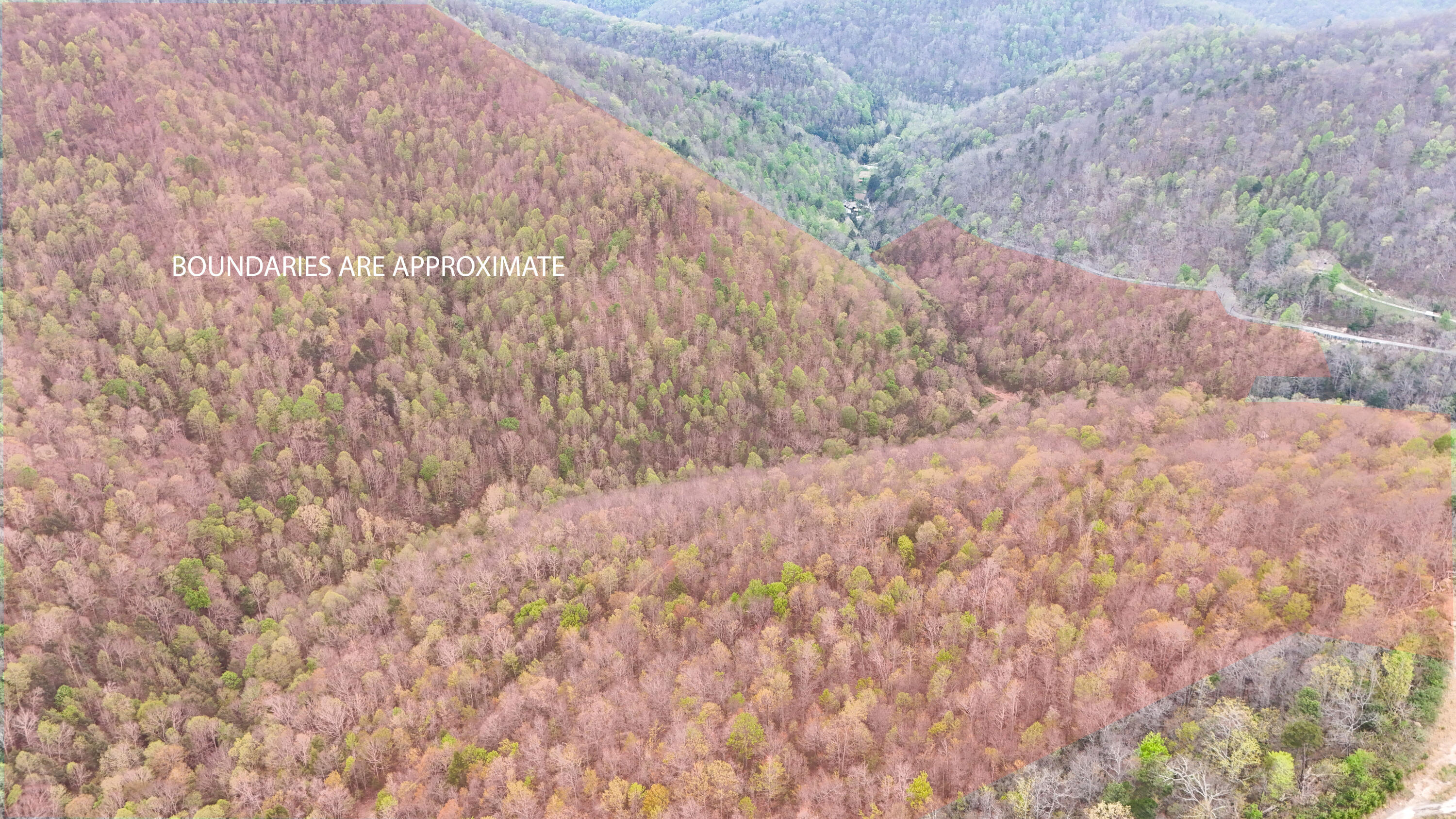 0 Dryfork Road Property Photo 6