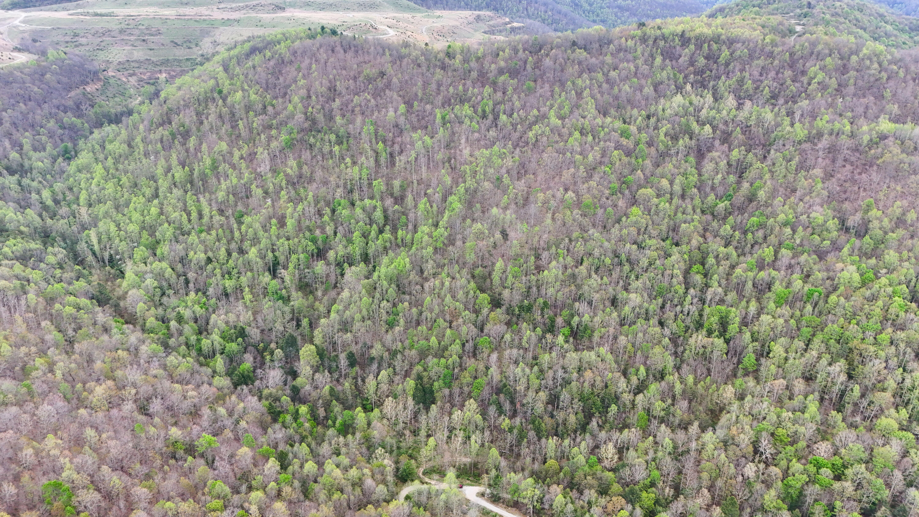 0 Dryfork Road Property Photo 8