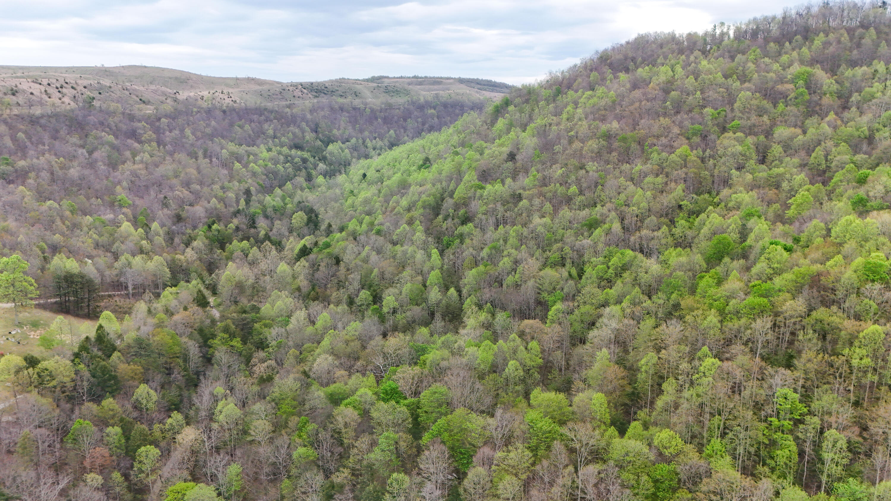 0 Dryfork Road Property Photo 10