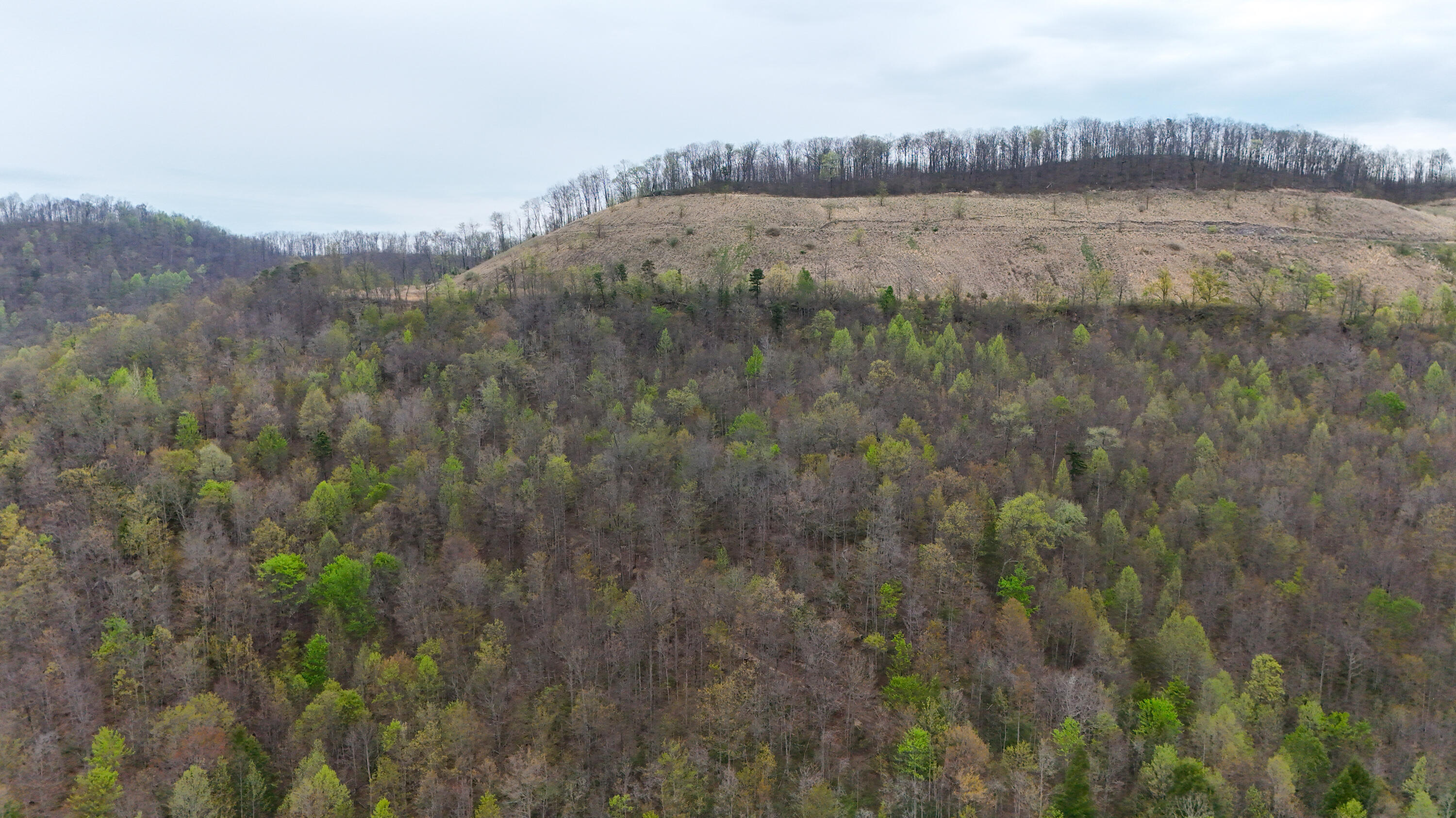 0 Dryfork Road Property Photo 11