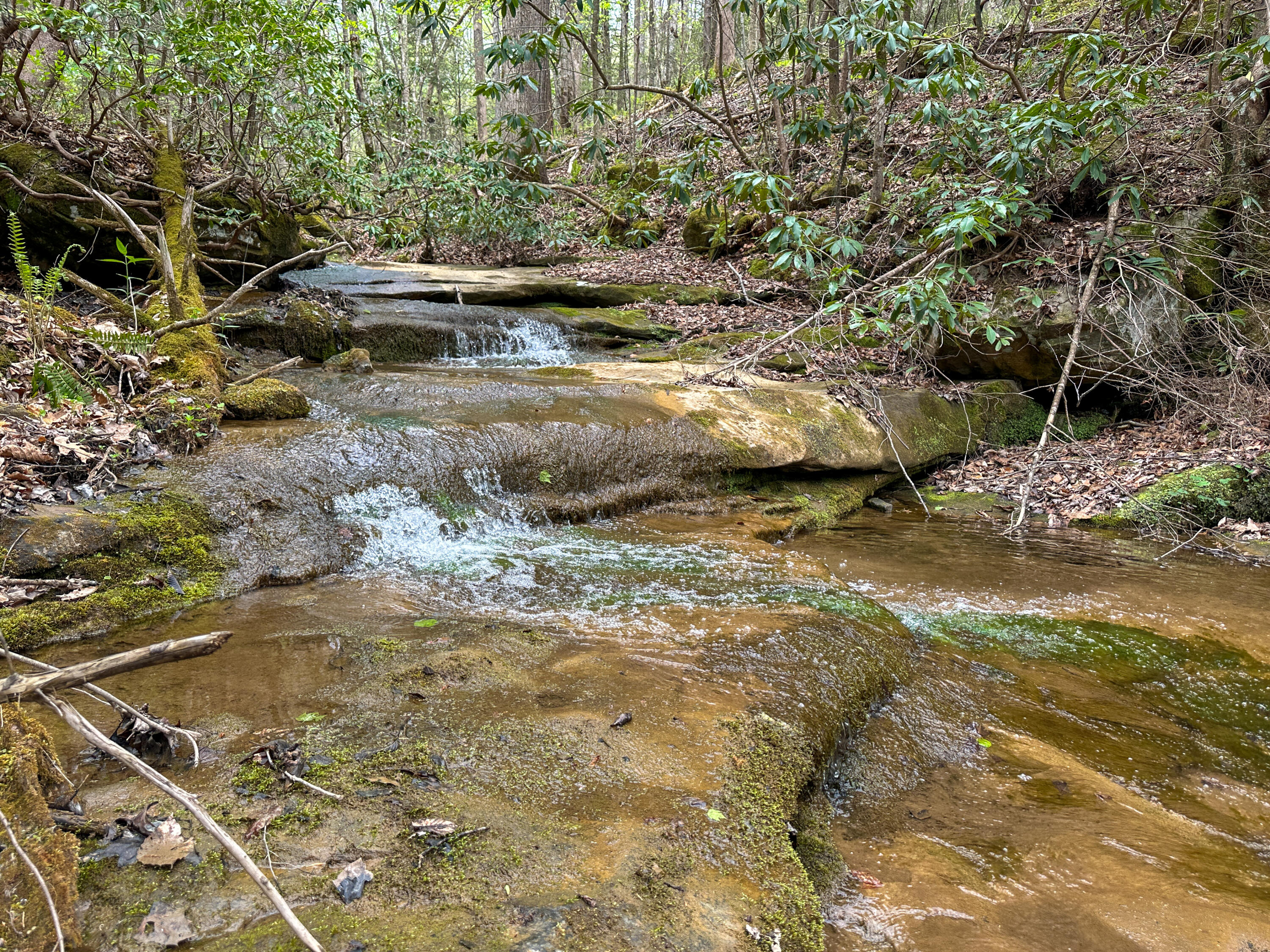 0 Dryfork Road Property Photo 12