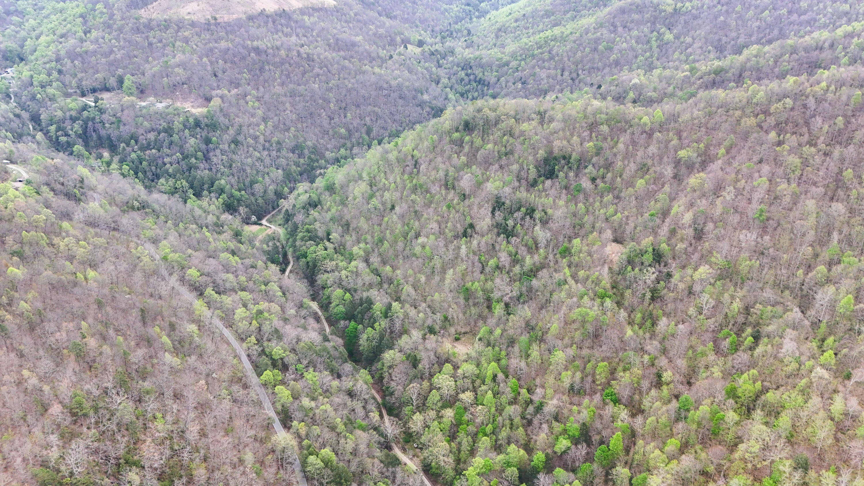 0 Dryfork Road Property Photo 18