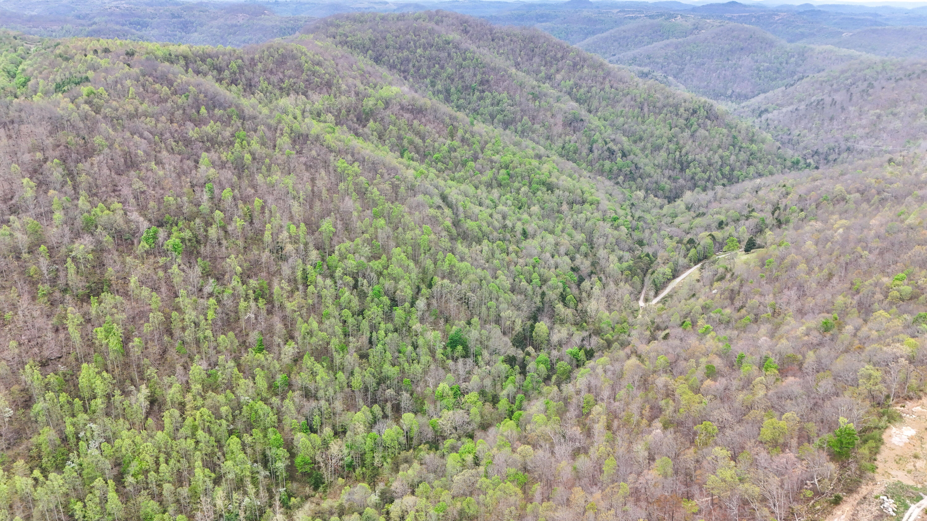 0 Dryfork Road Property Photo 22