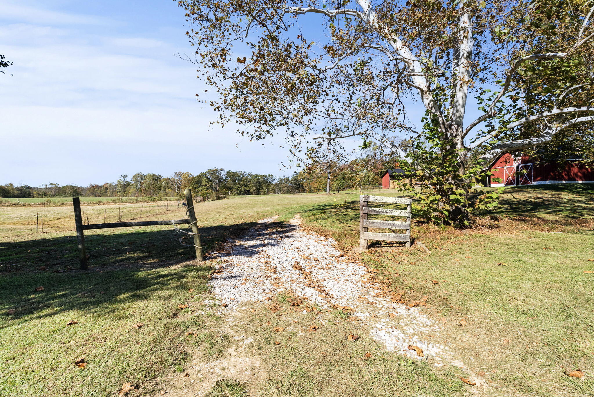 537 Bays Bend Road Property Photo 29