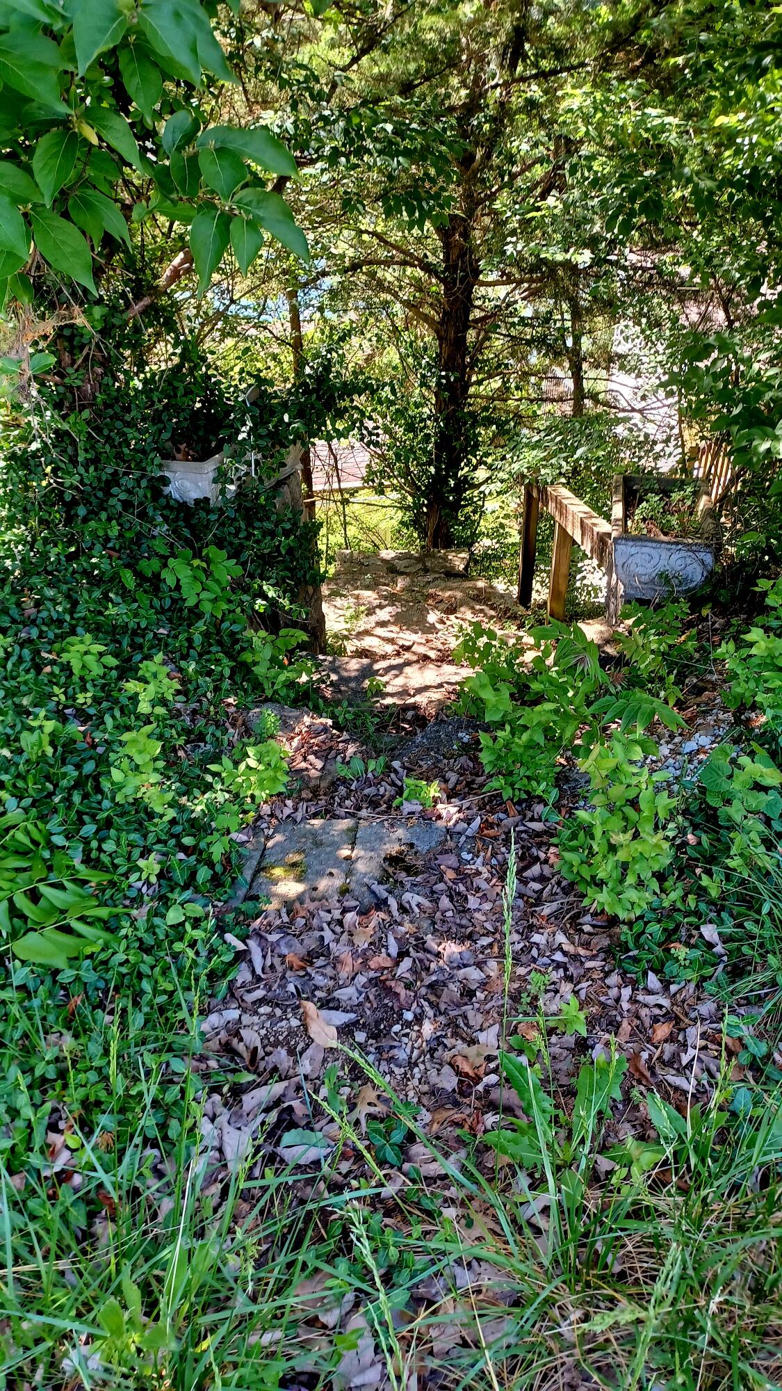 4858 Kennedy Bridge Road Property Photo 40